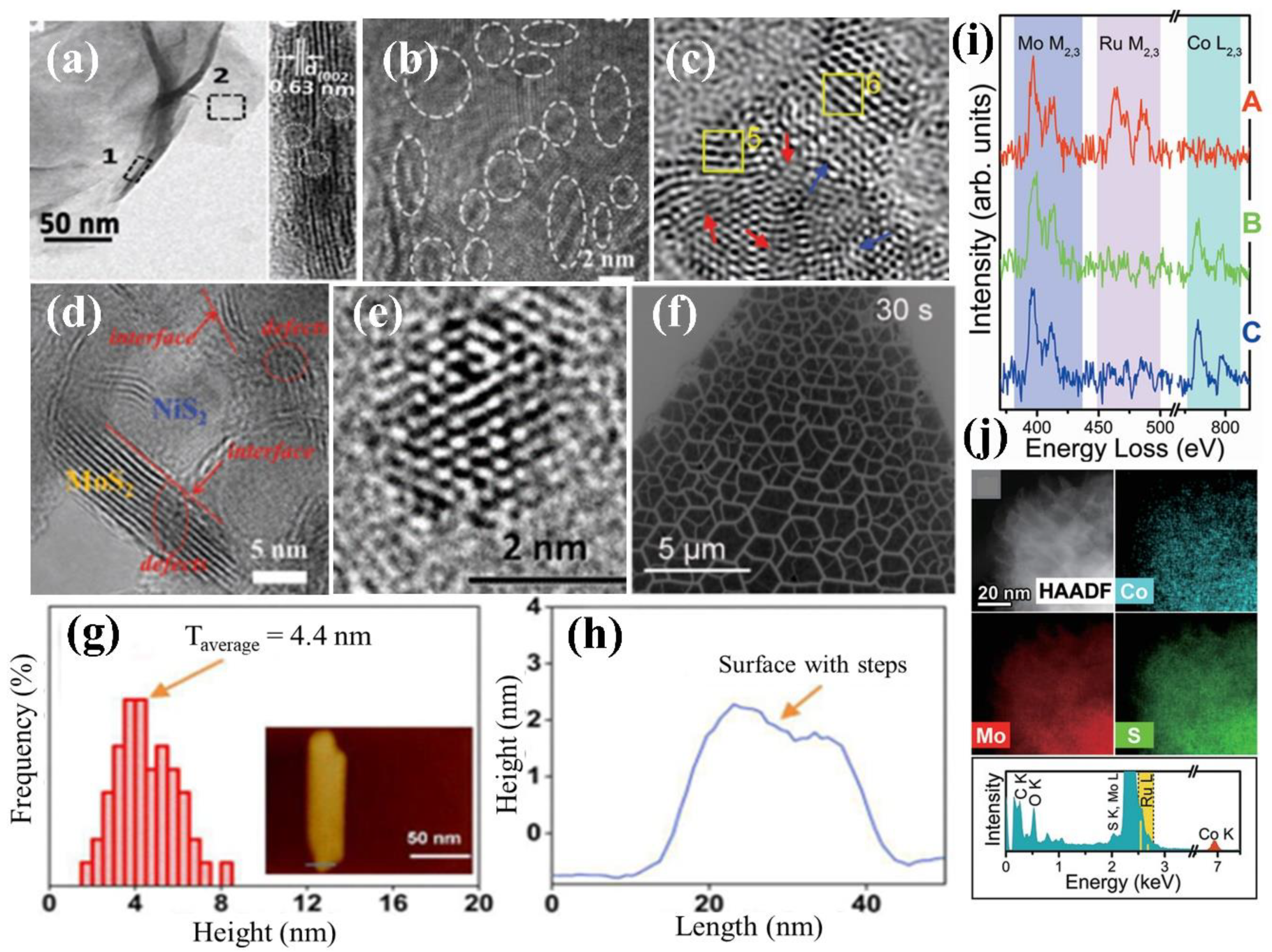 Catalysts 10 01301 g005