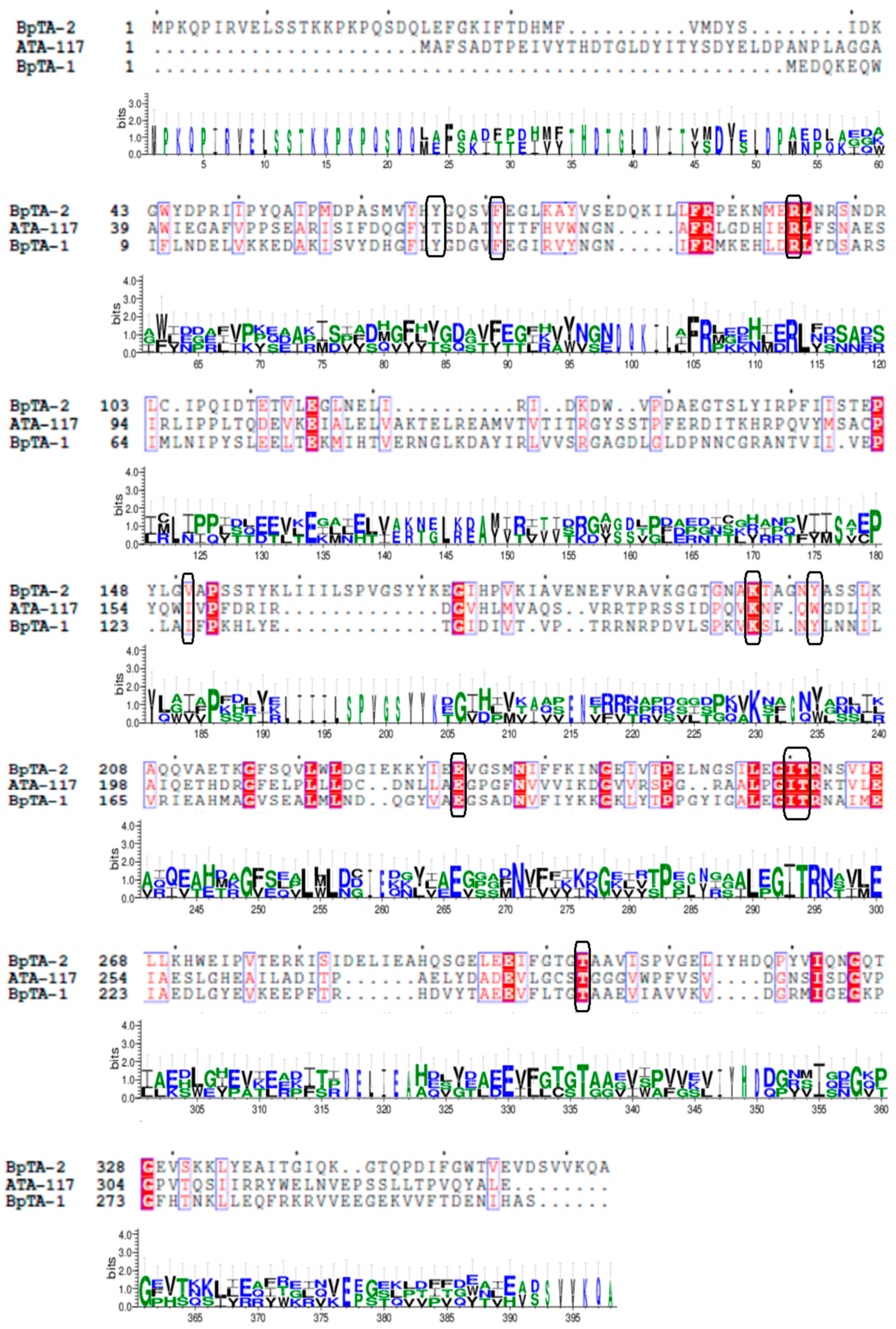 Catalysts 10 01308 g001