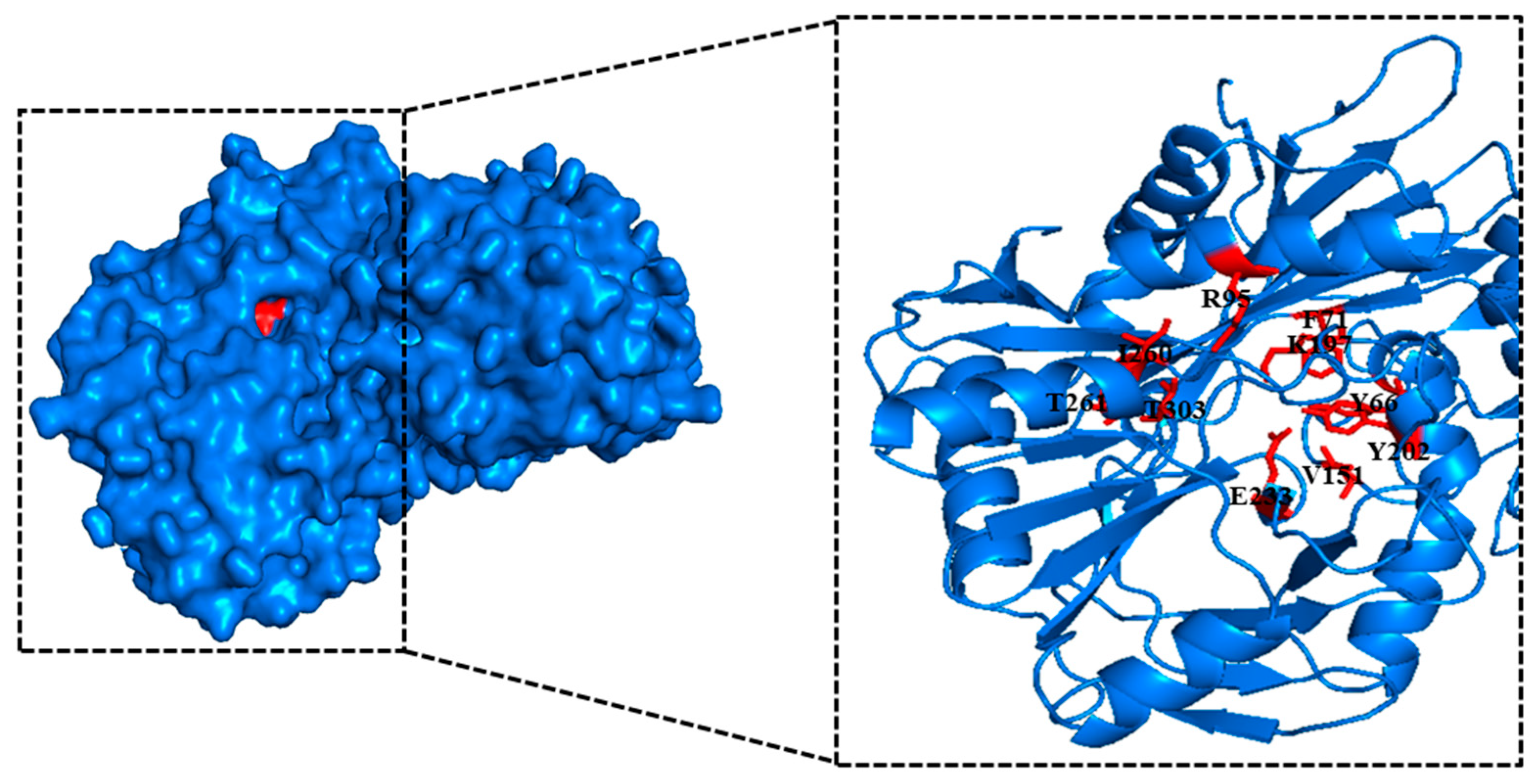 Catalysts 10 01308 g002
