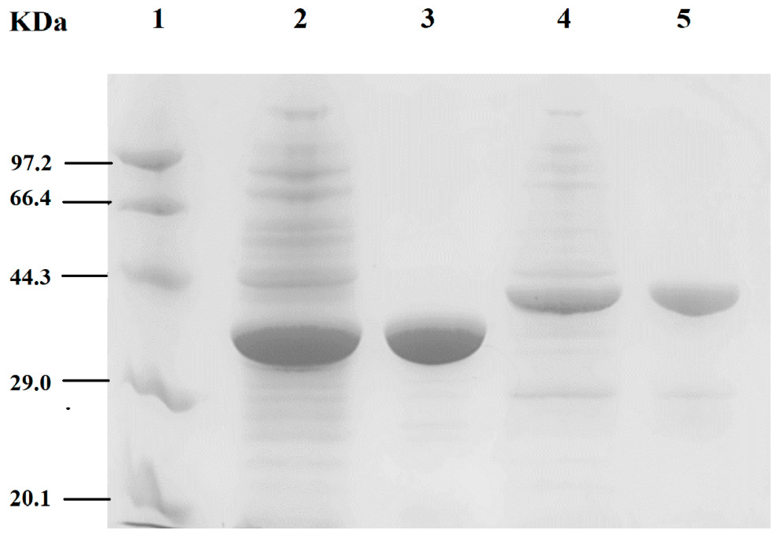 Catalysts 10 01308 g003
