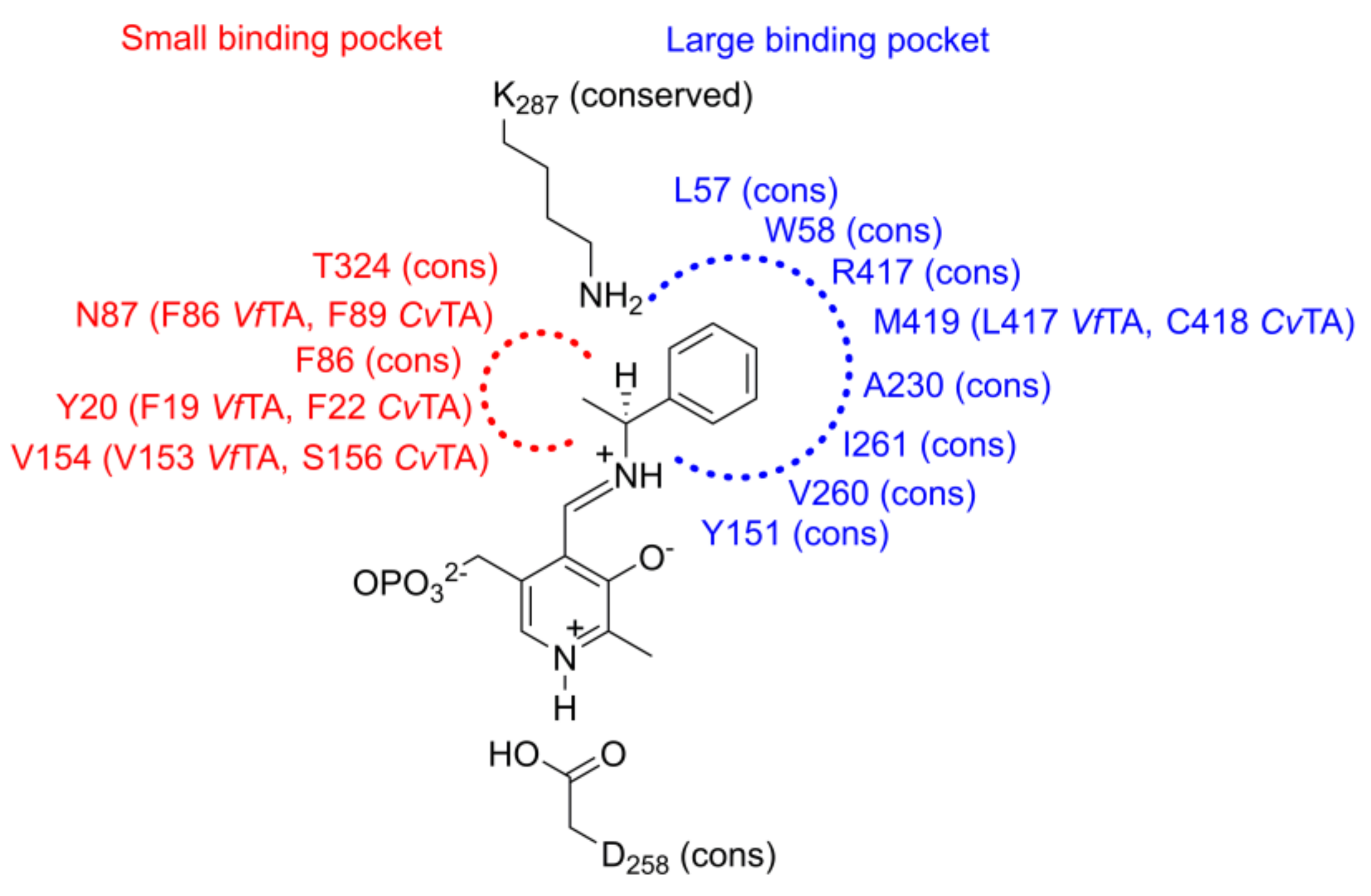 Catalysts 10 01310 g001