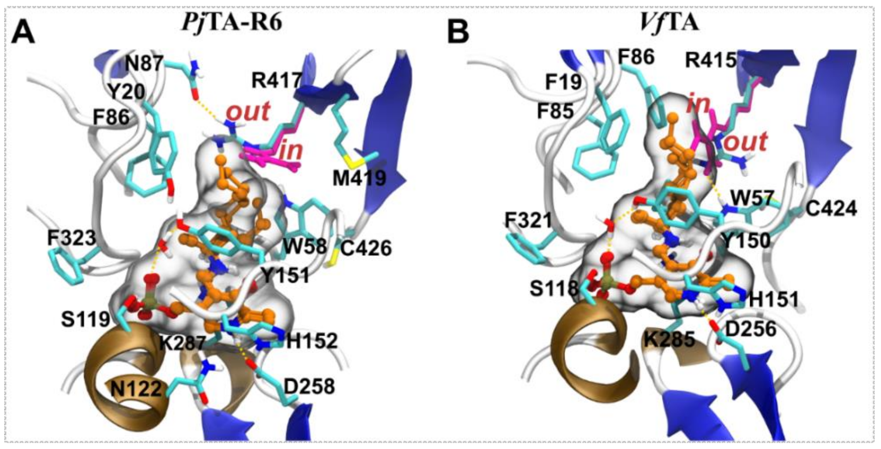 Catalysts 10 01310 g004