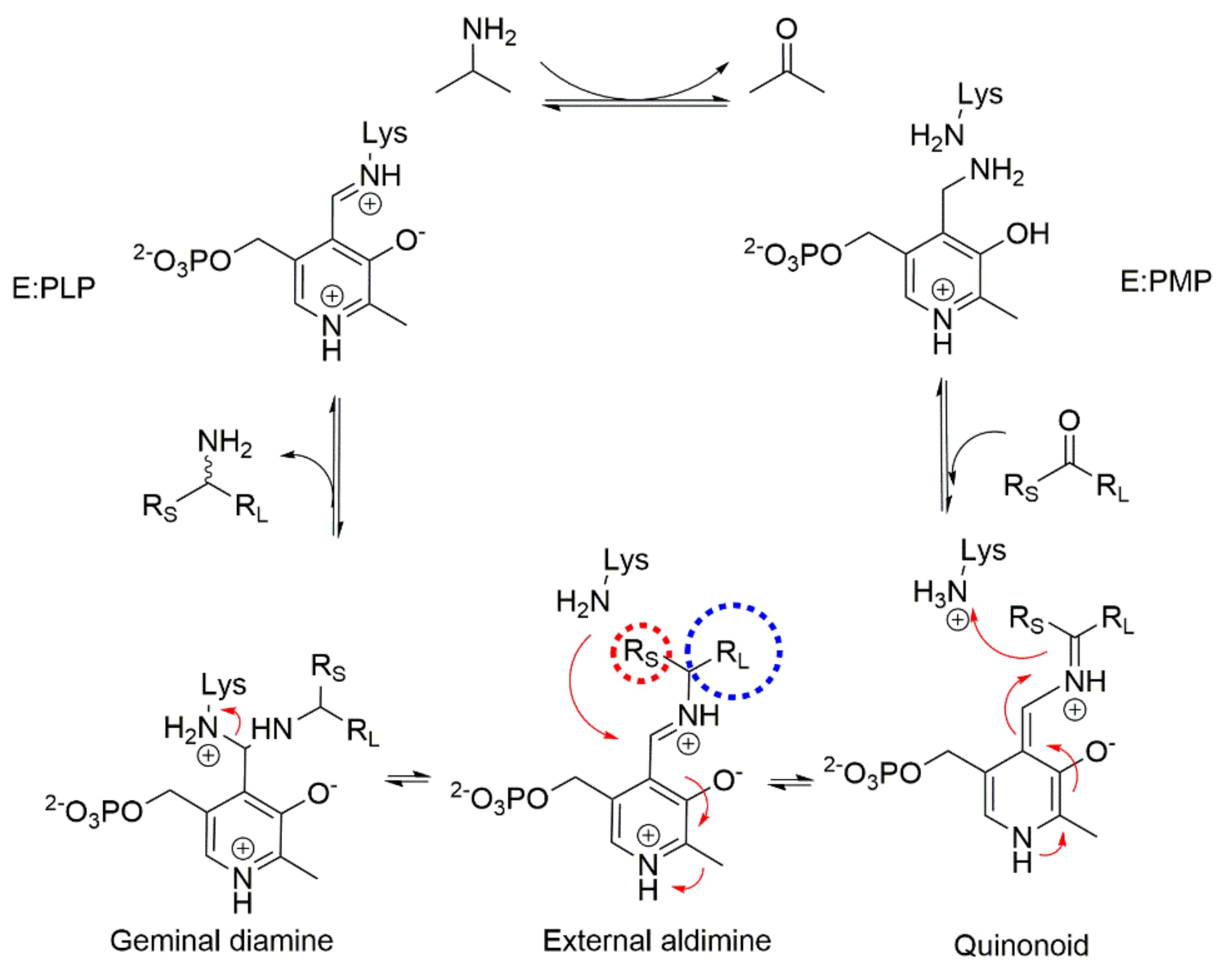 Catalysts 10 01310 sch001