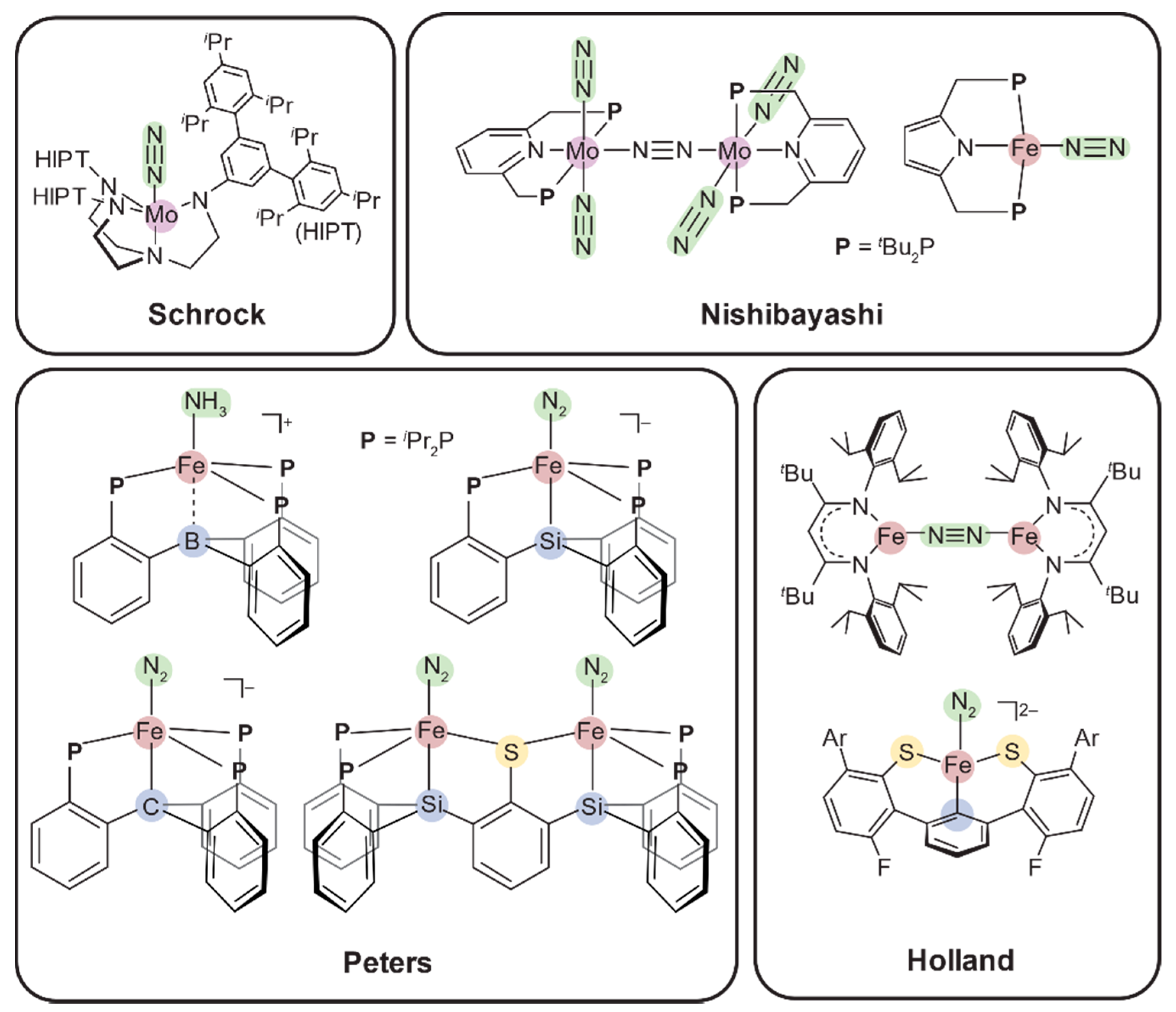Catalysts 10 01317 g003 Catalysts 10 01317 g003