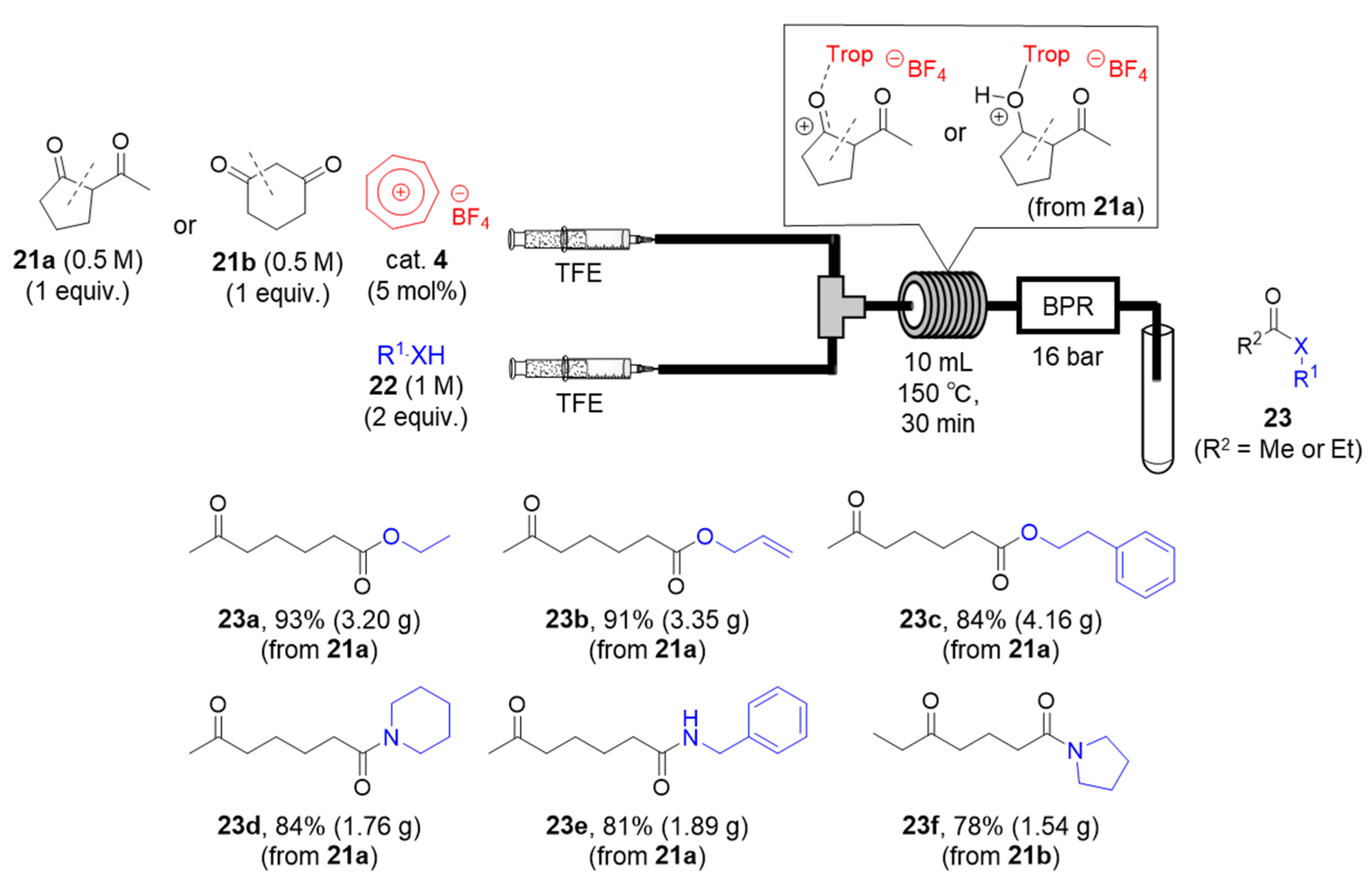 Catalysts 10 01321 g005