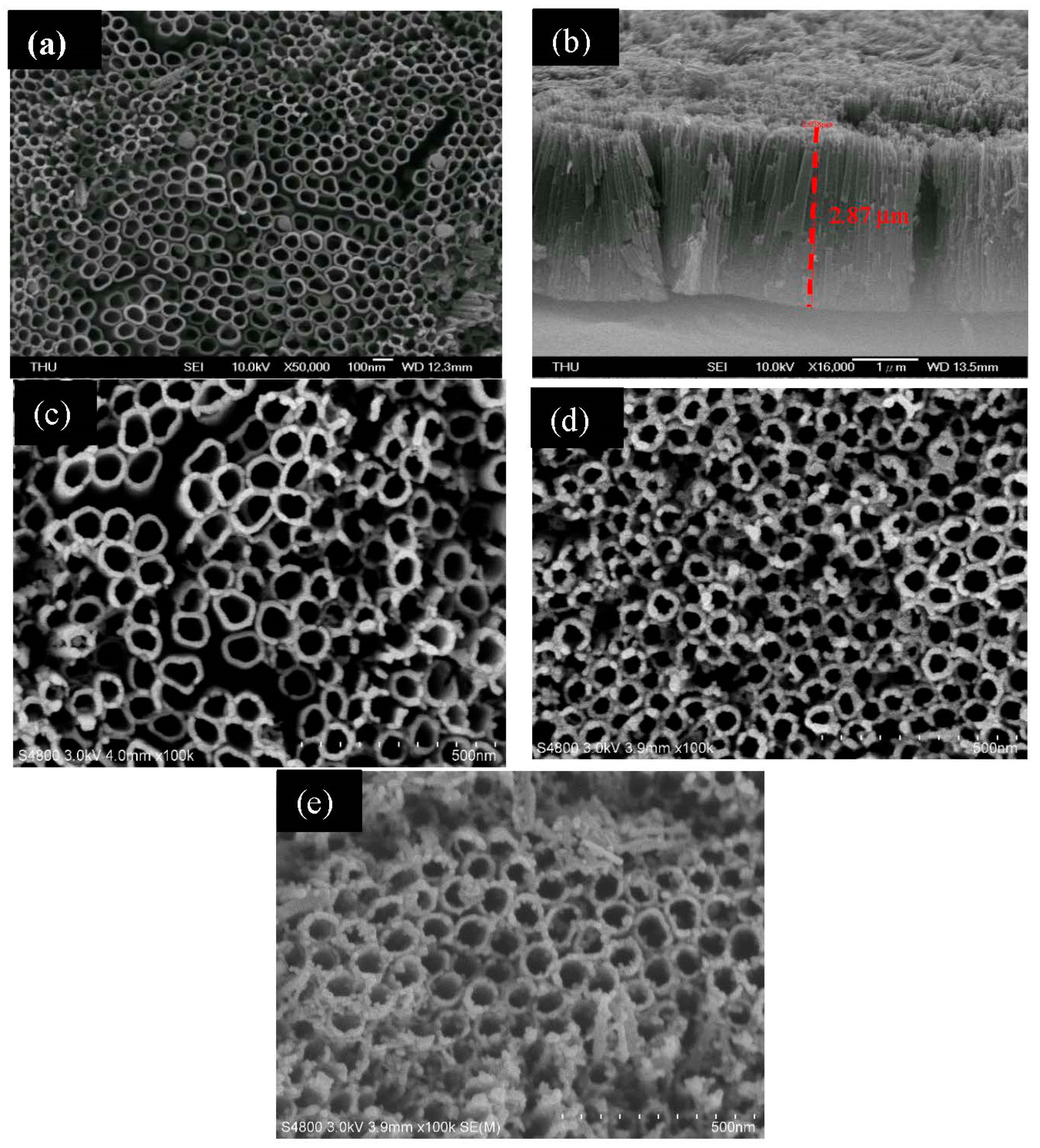 Catalysts 10 01330 g001