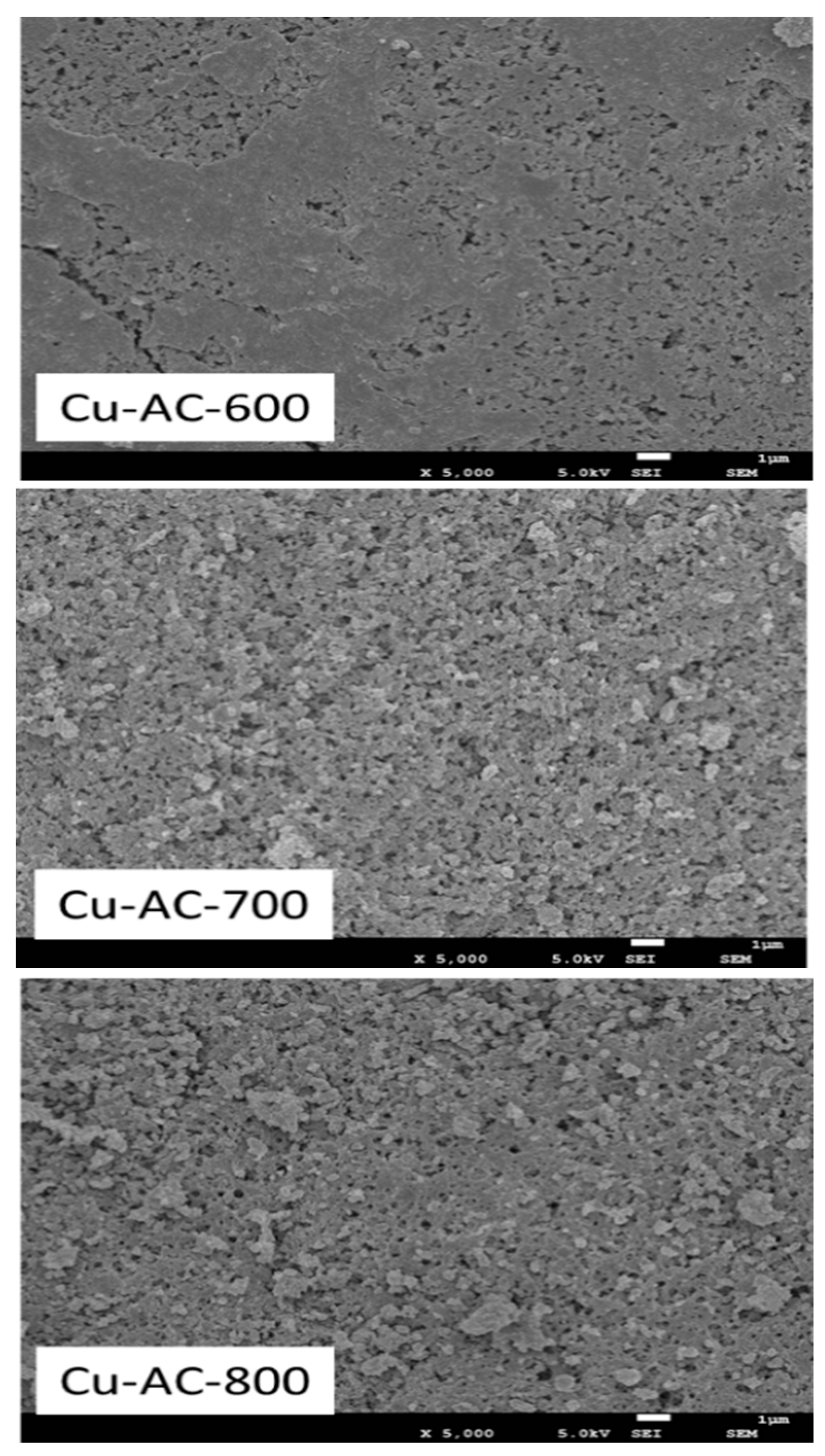 Catalysts 10 01333 g002 Catalysts 10 01333 g002