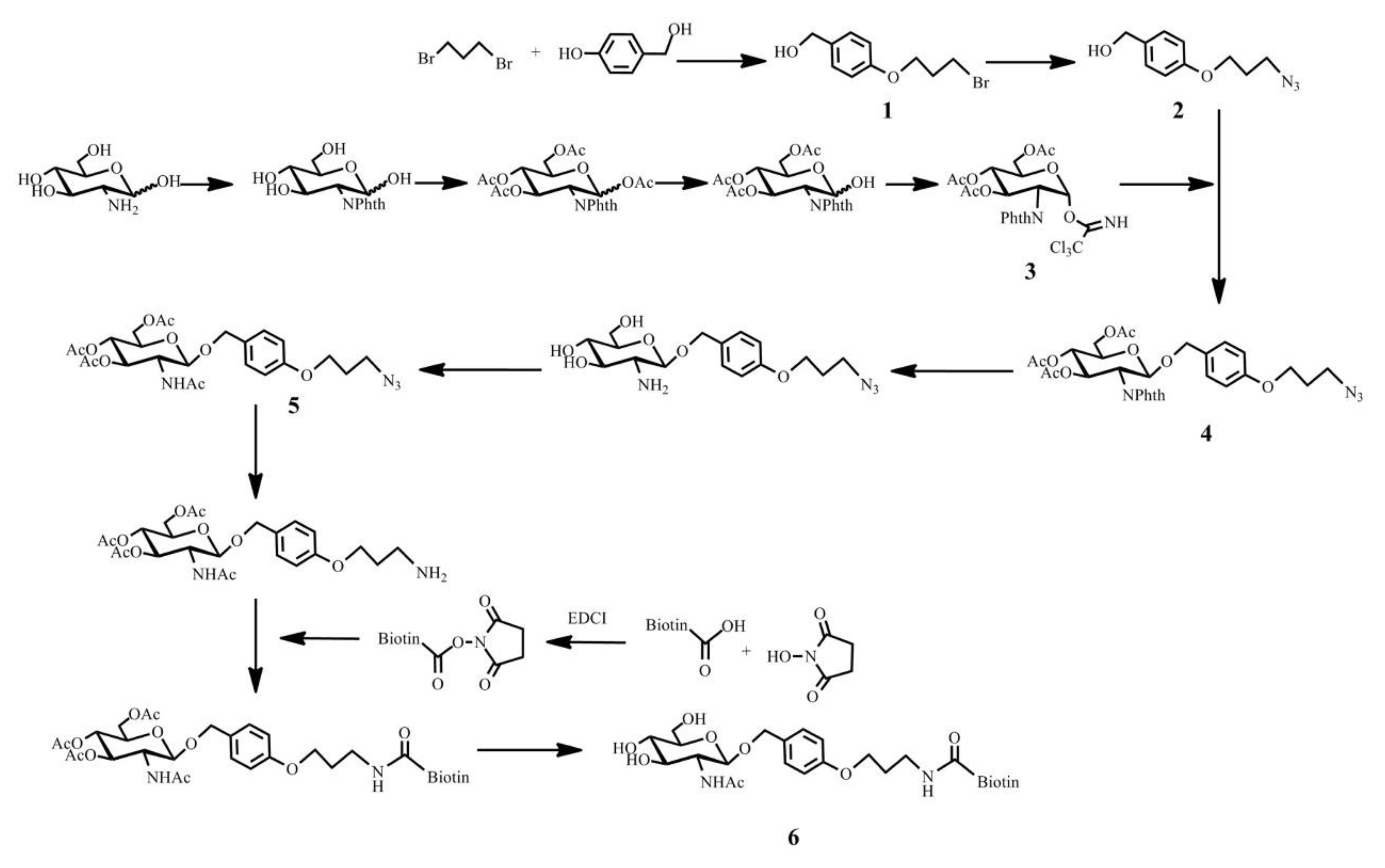 Catalysts 10 01347 sch001 Catalysts 10 01347 sch001