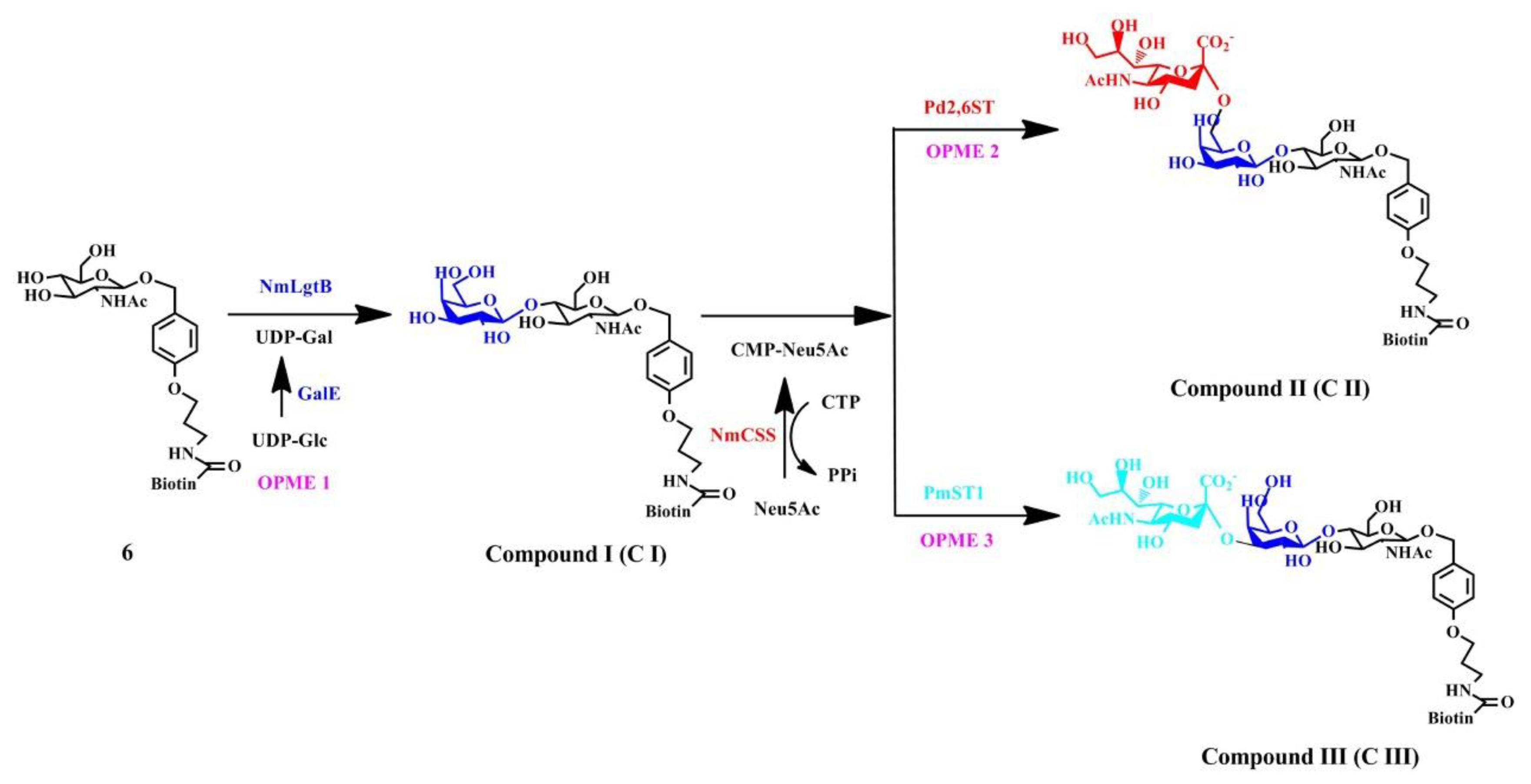 Catalysts 10 01347 sch002 Catalysts 10 01347 sch002