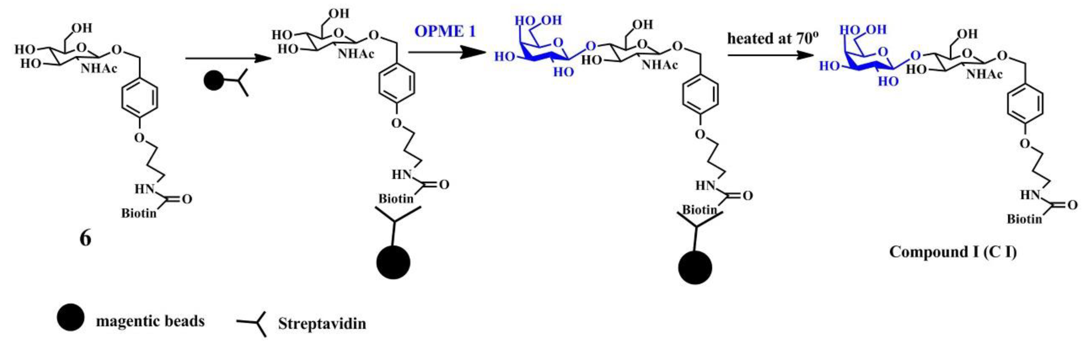 Catalysts 10 01347 sch003 Catalysts 10 01347 sch003