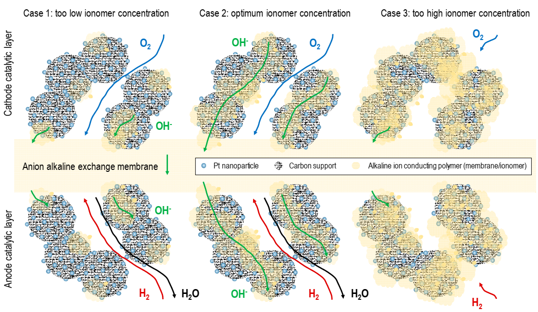 Catalysts 10 01353 g005 Catalysts 10 01353 g005