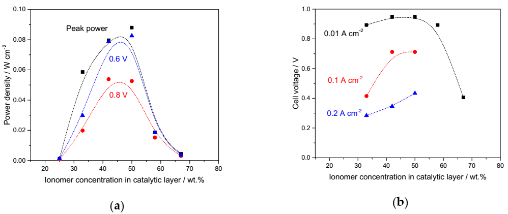 Catalysts 10 01353 g007 Catalysts 10 01353 g007
