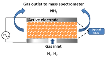 Catalysts 10 01358 i013