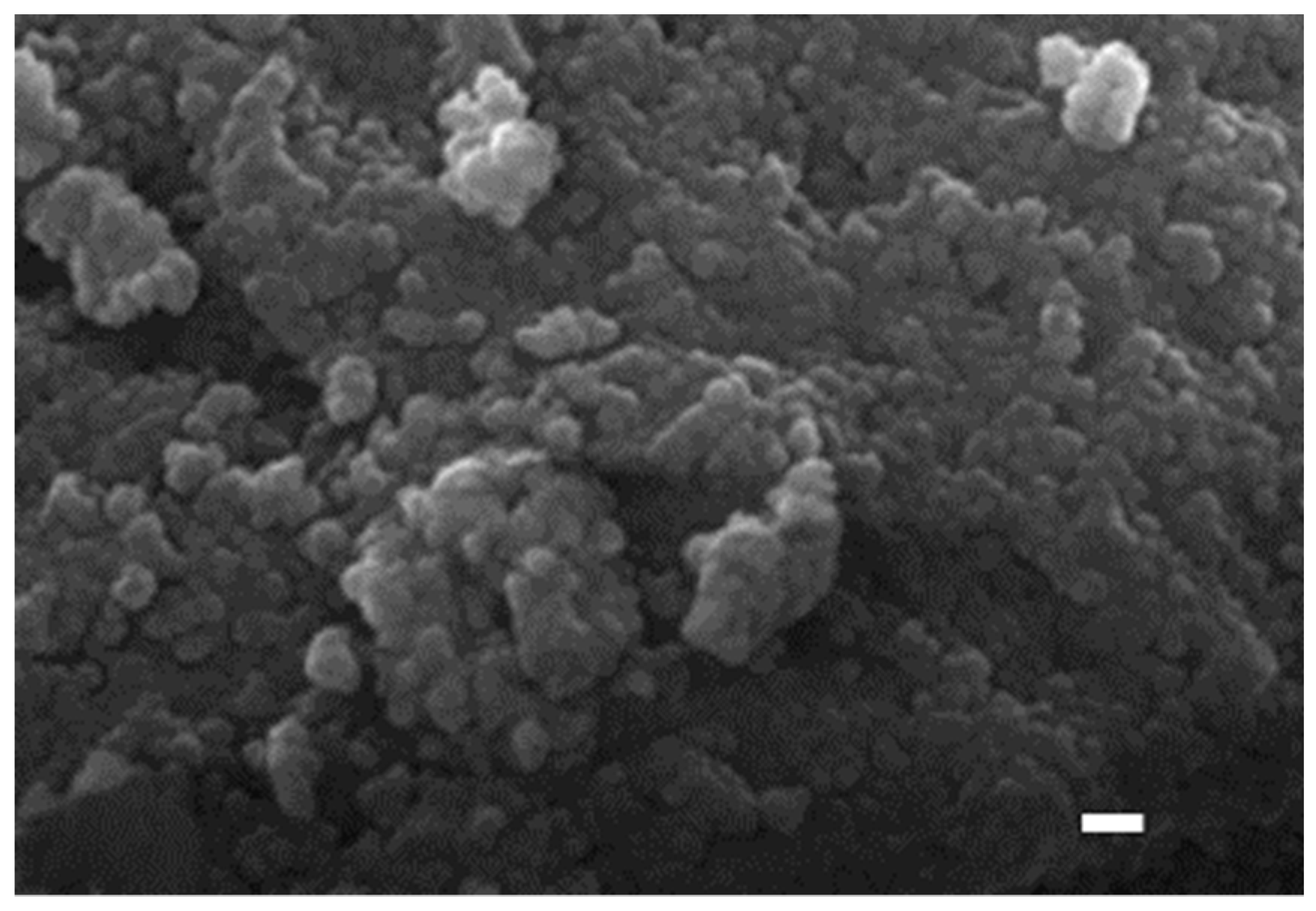 Catalysts 10 01392 g004