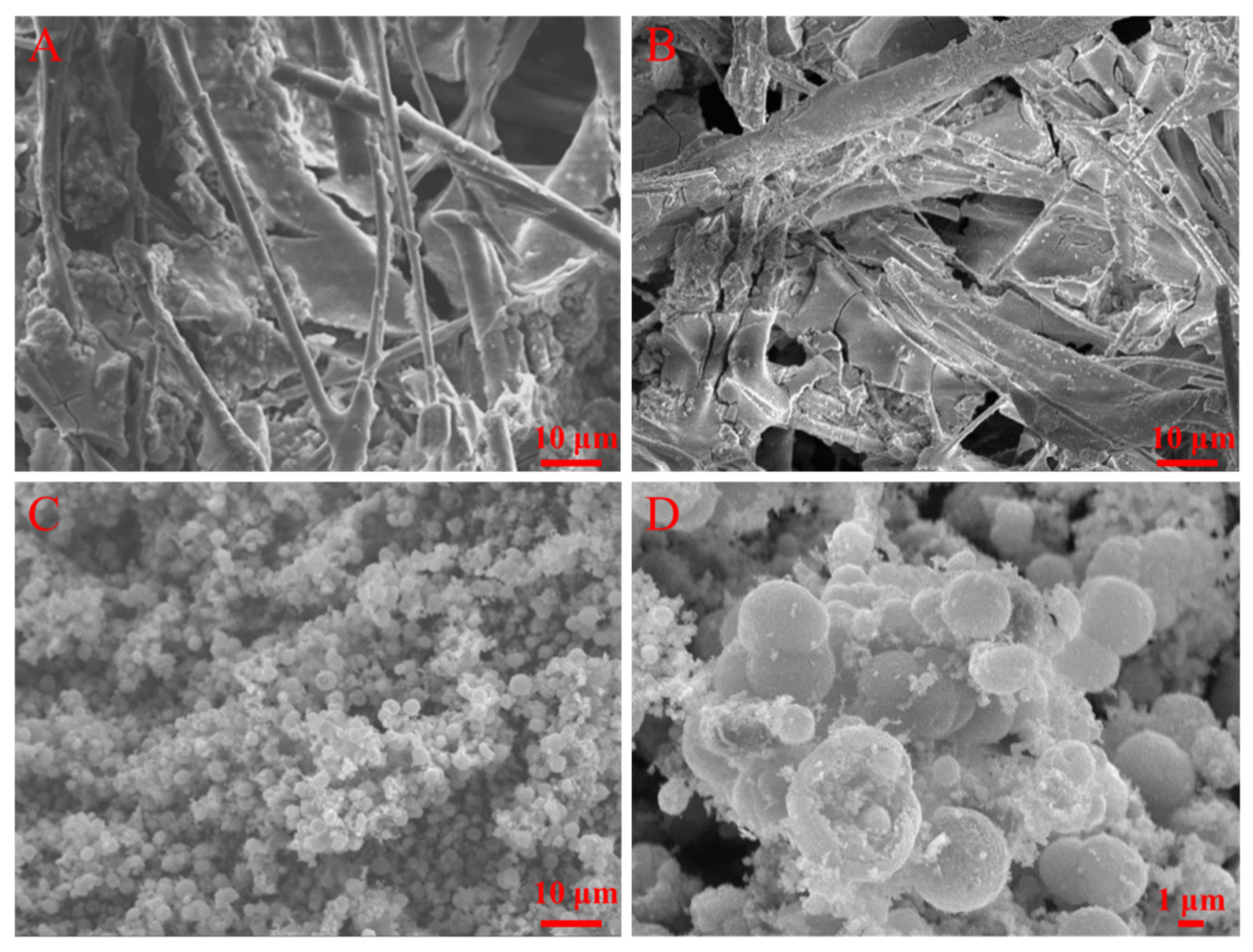 Catalysts 10 01394 g002