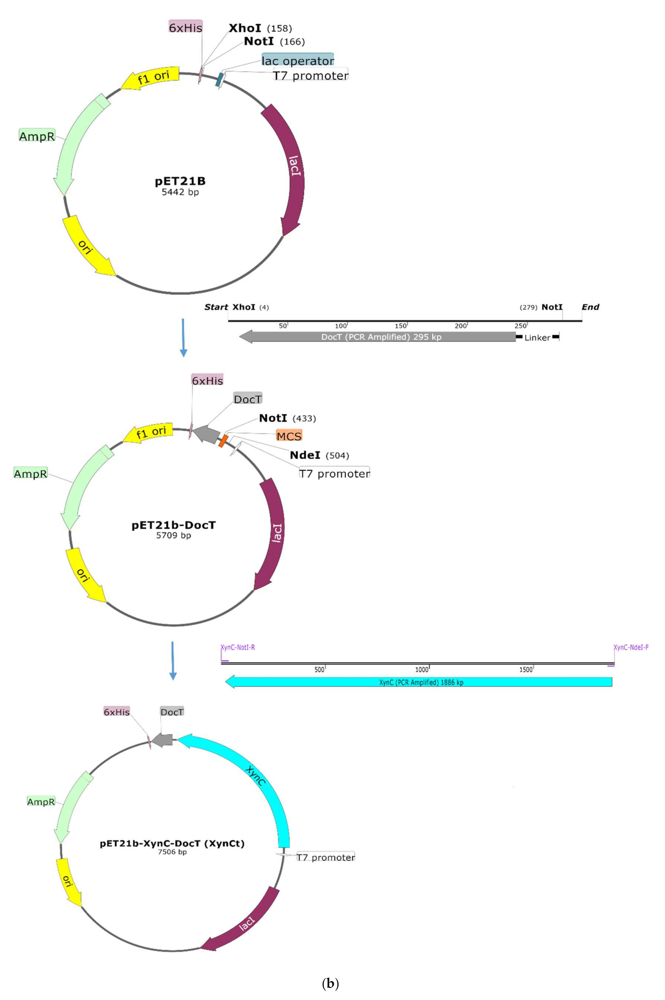 Catalysts 10 01408 g002b