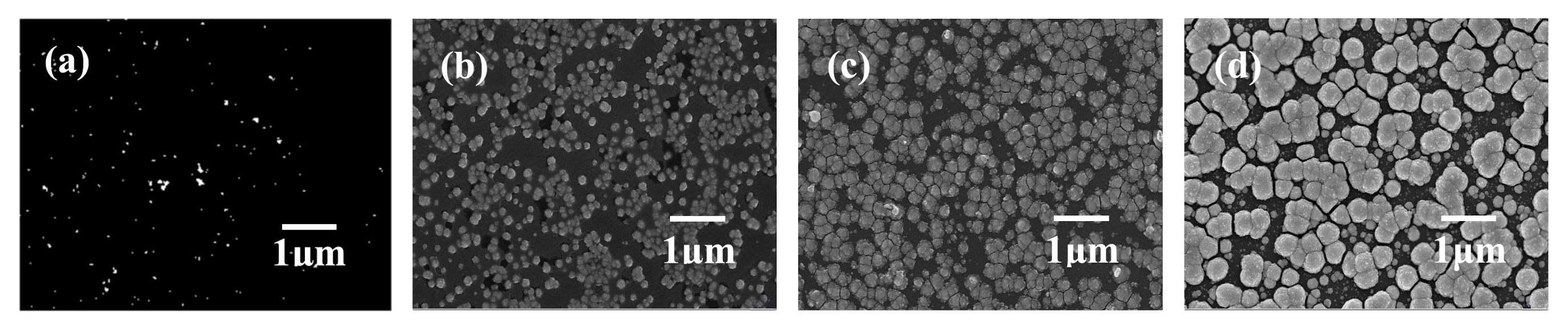 Catalysts 10 01416 g002