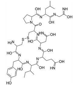 Catalysts 10 01420 i018