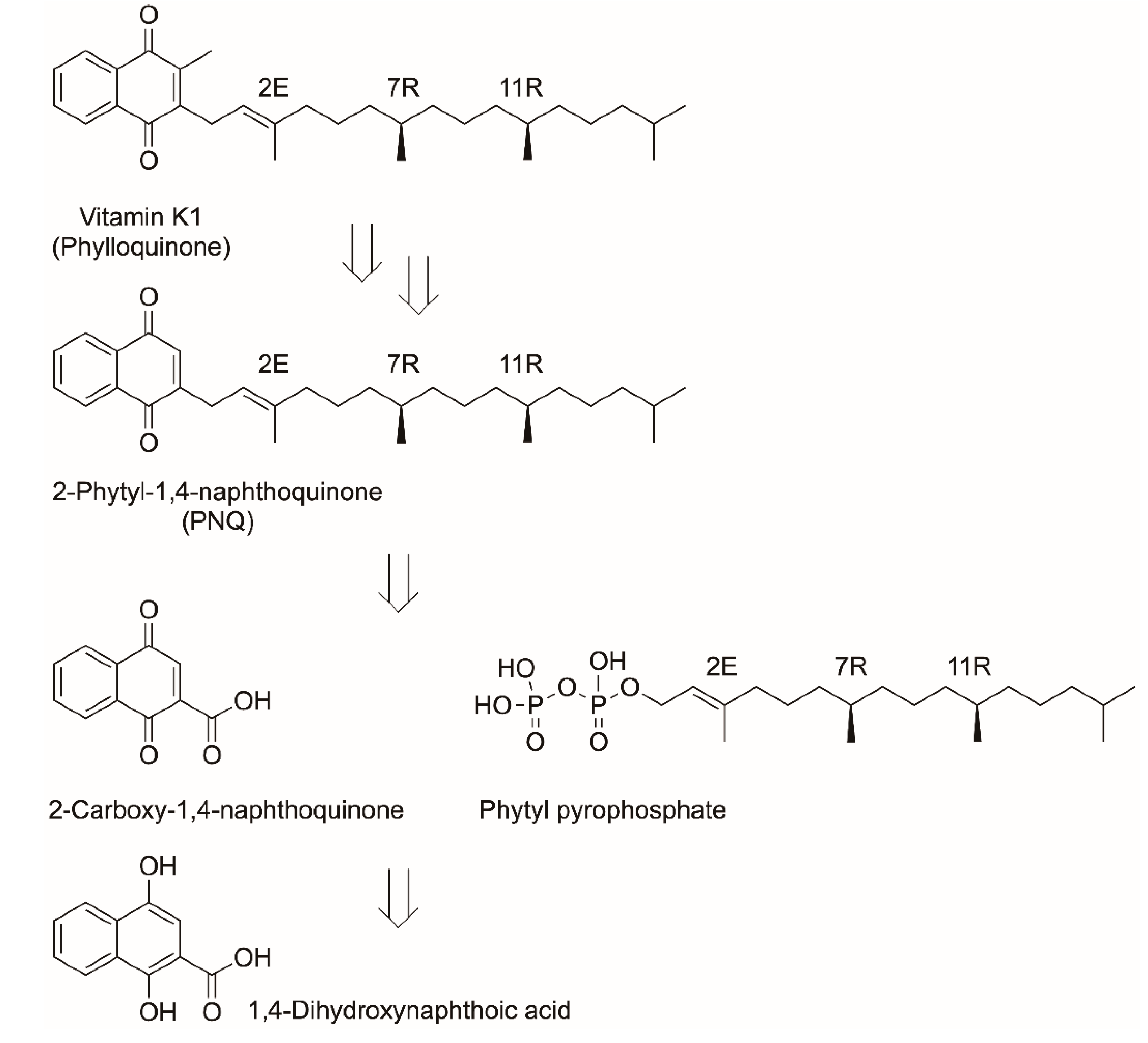 Catalysts 10 01420 sch006