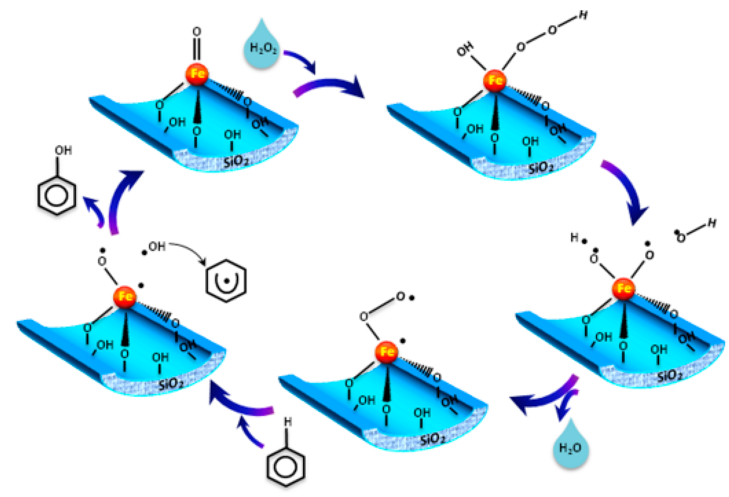Catalysts 10 01424 g004