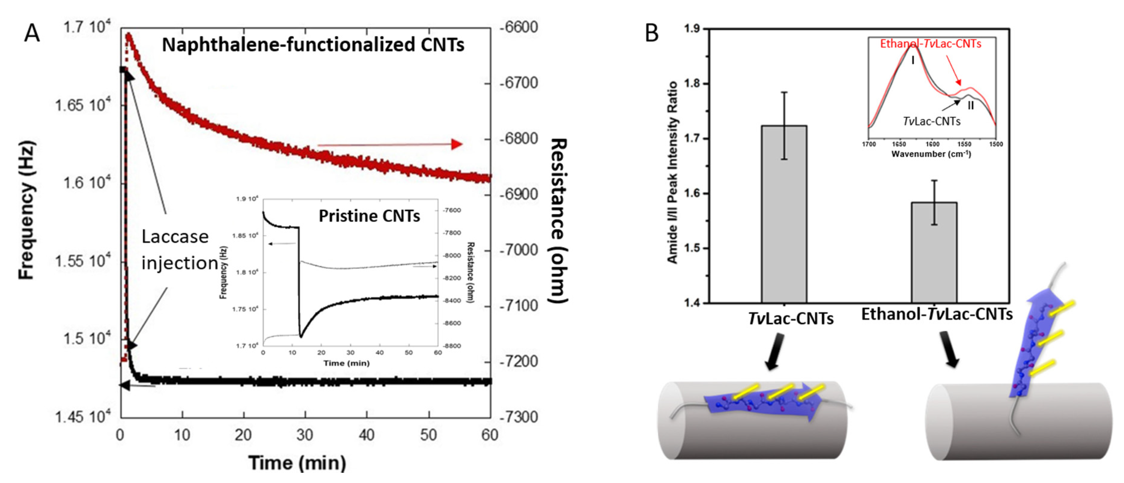 Catalysts 10 01447 g006 Catalysts 10 01447 g006