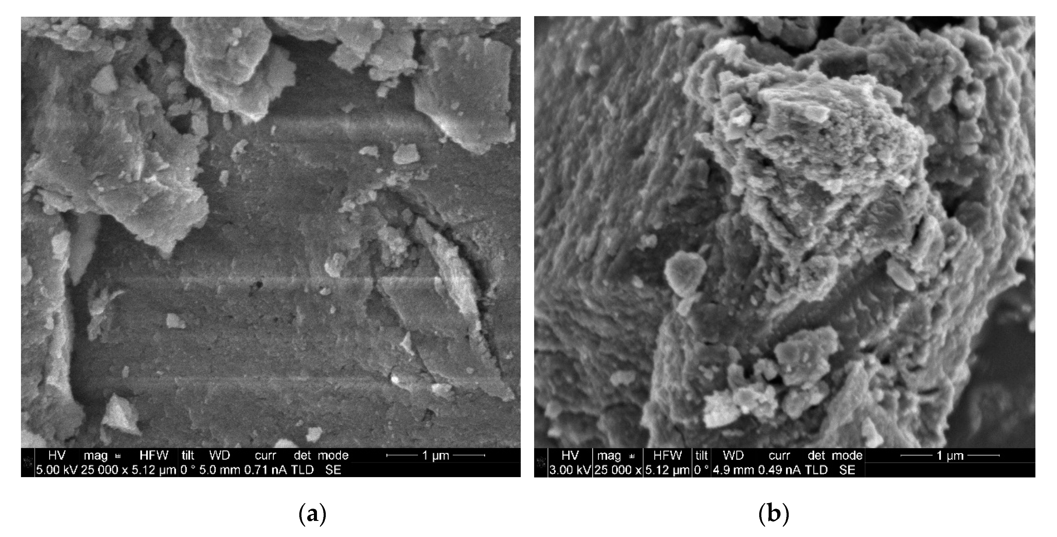 Catalysts 10 01449 g005a Catalysts 10 01449 g005a