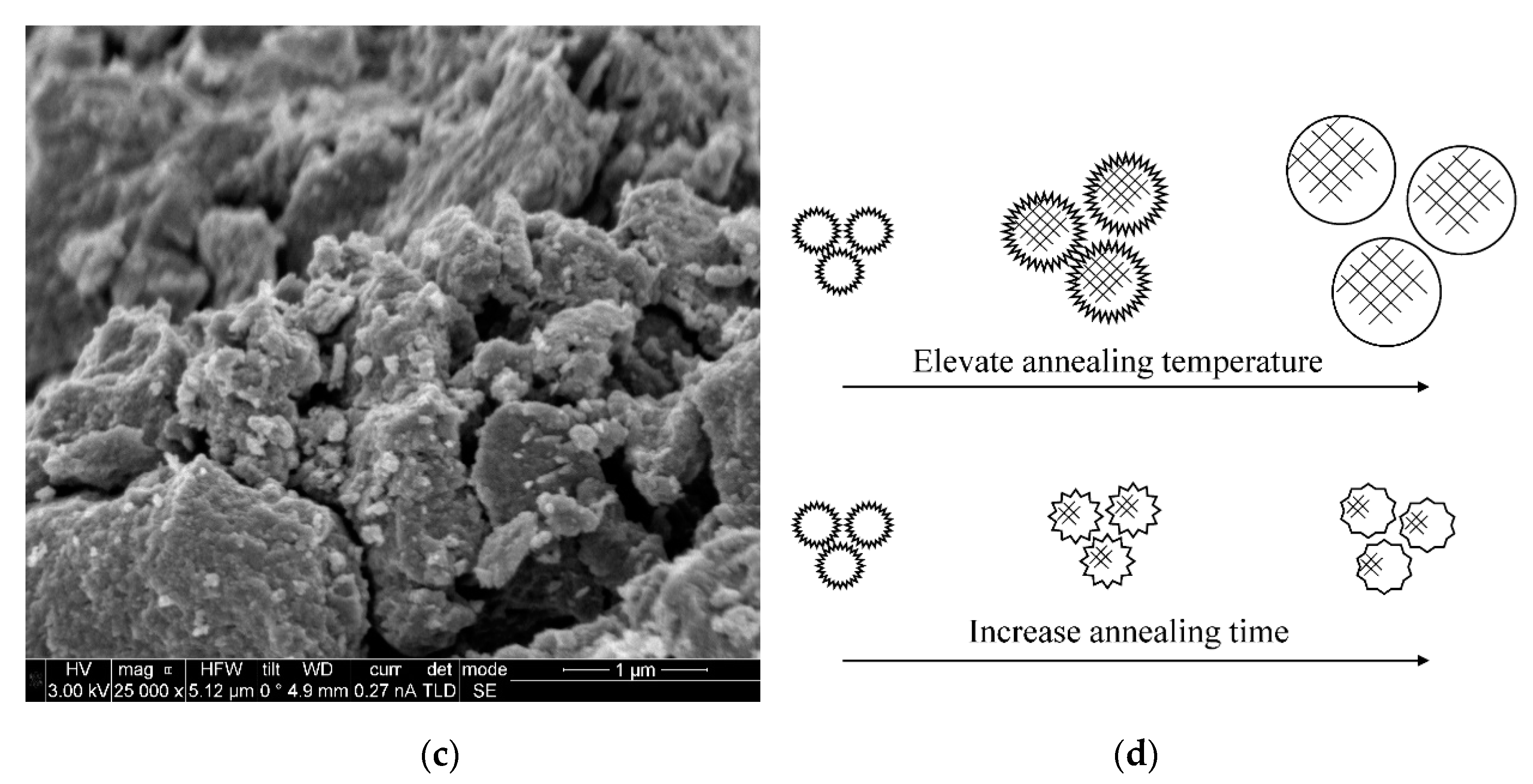 Catalysts 10 01449 g005b Catalysts 10 01449 g005b