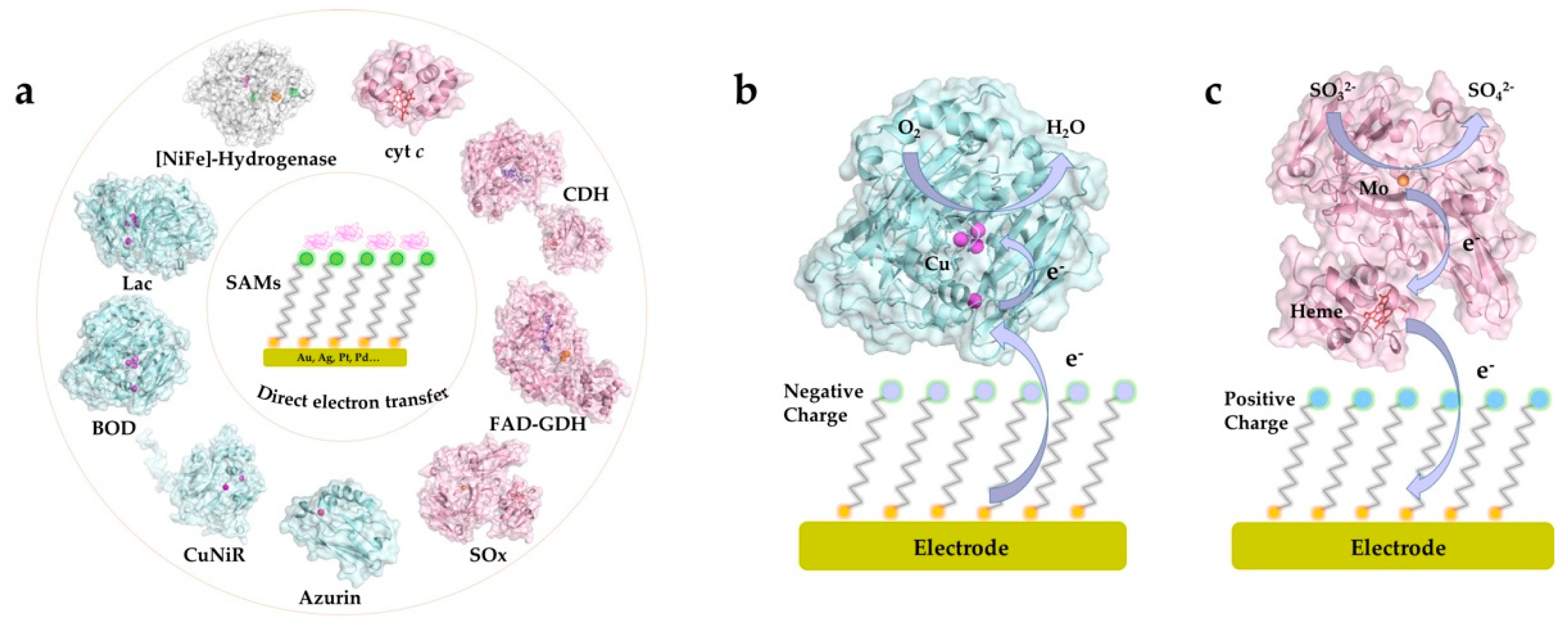 Catalysts 10 01458 g002