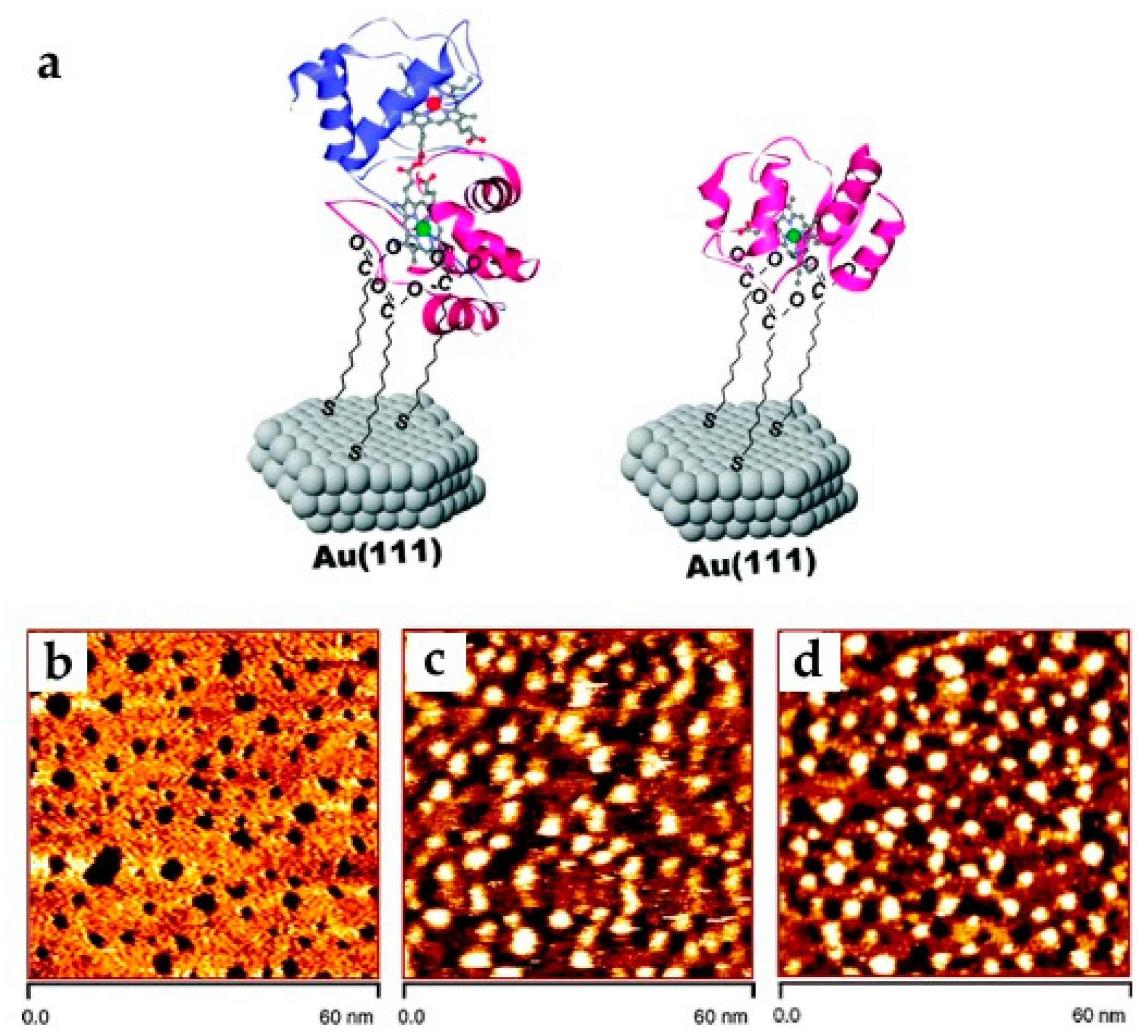 Catalysts 10 01458 g003