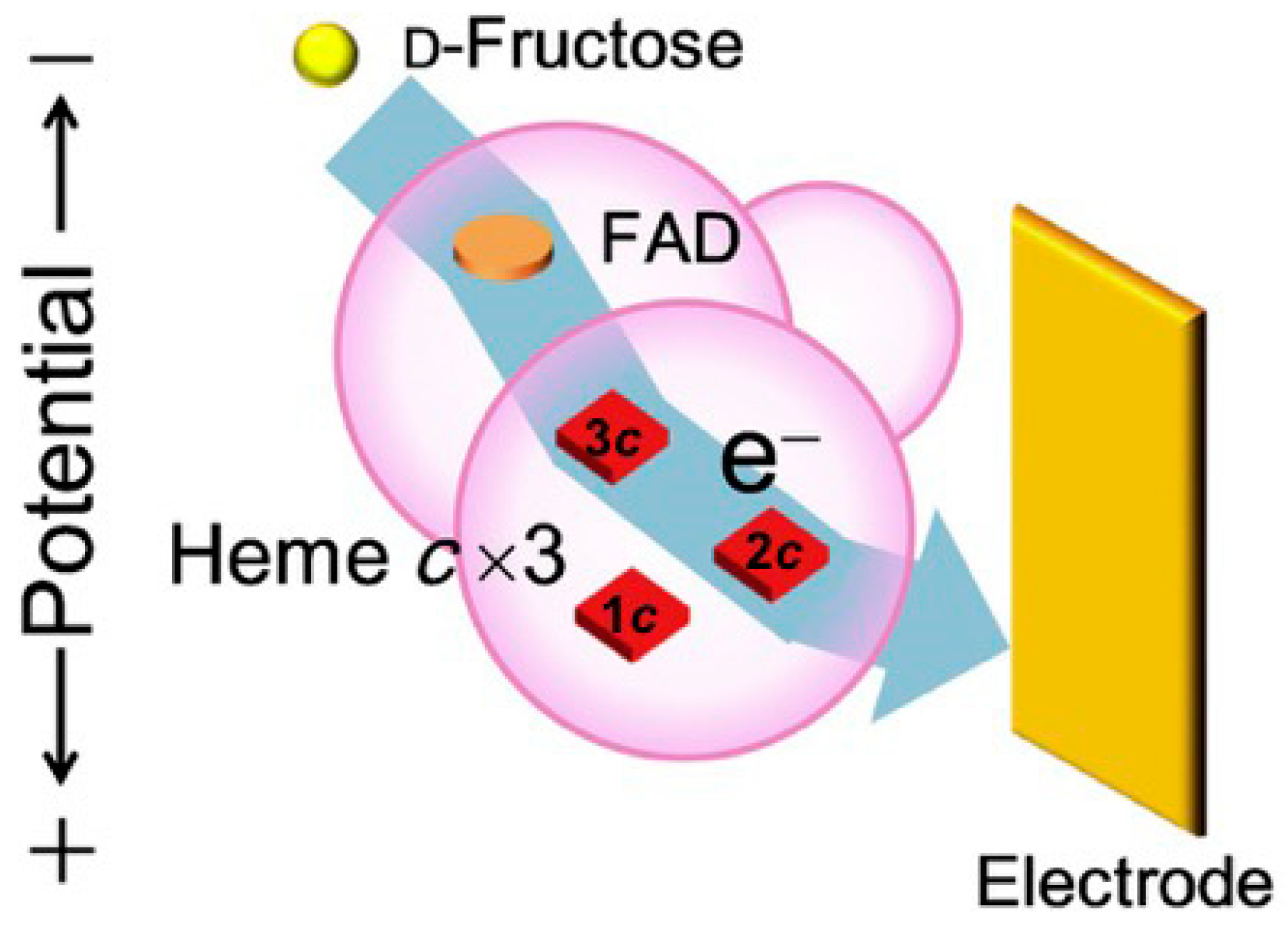 Catalysts 10 01458 g004