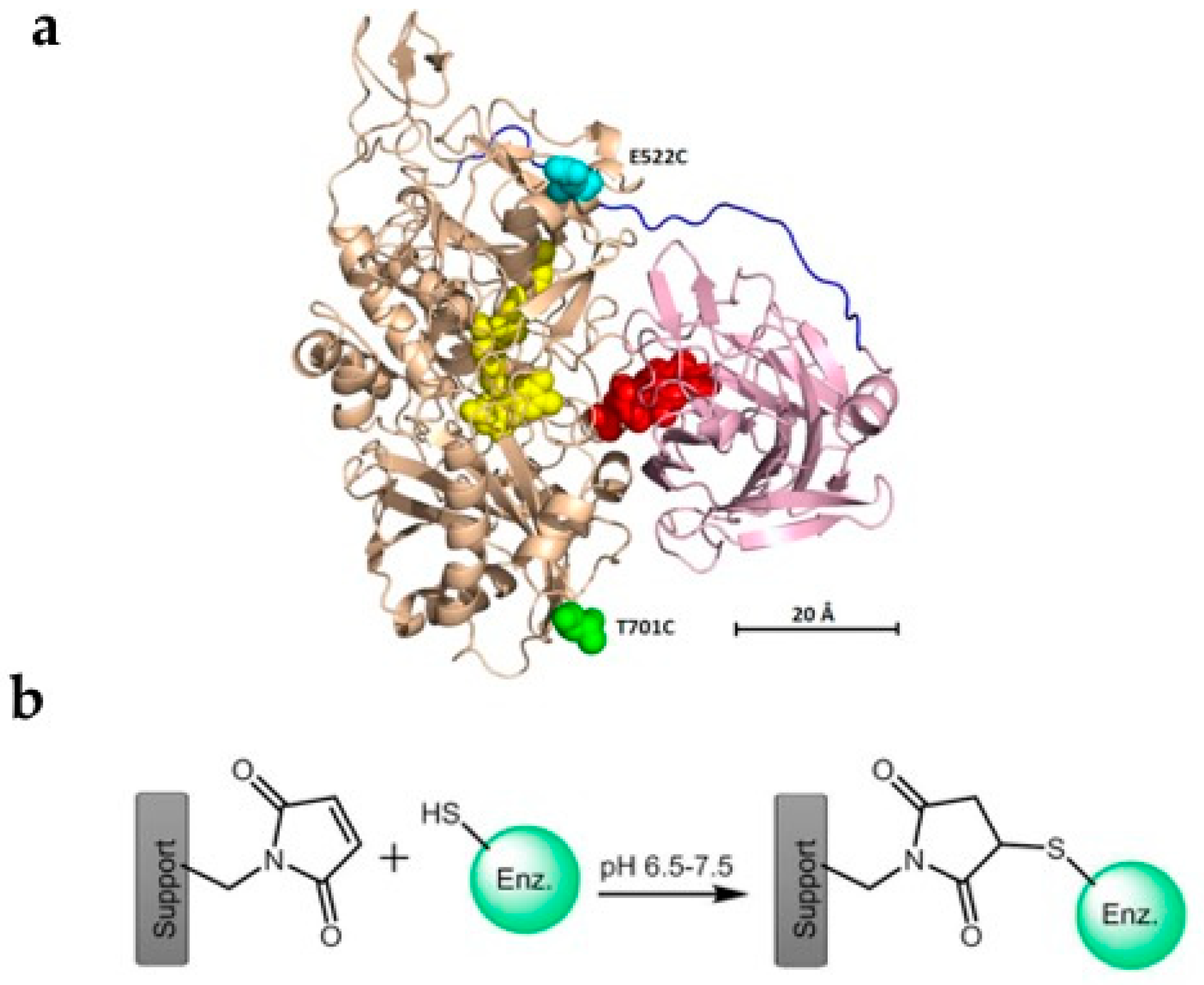 Catalysts 10 01458 g005
