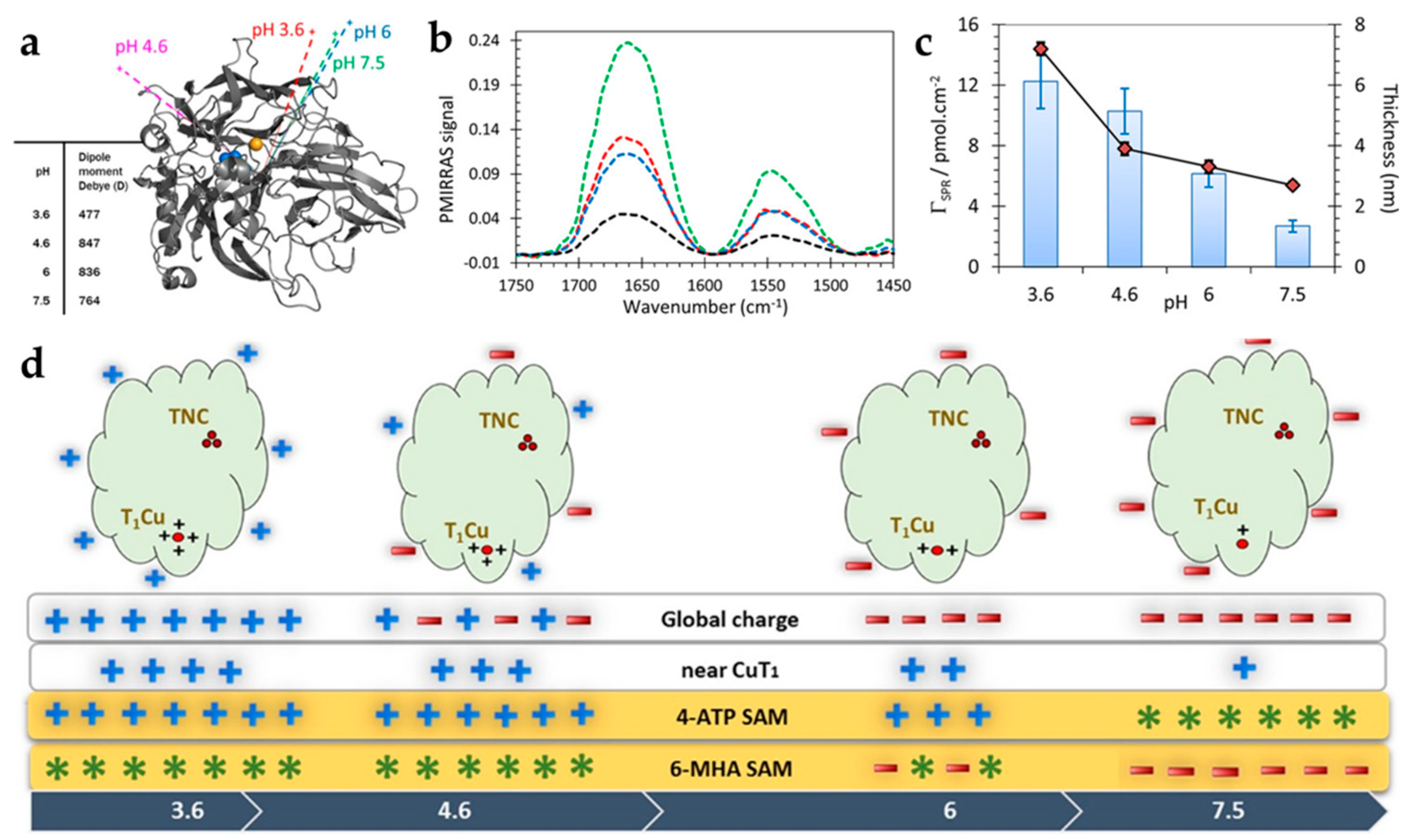 Catalysts 10 01458 g006