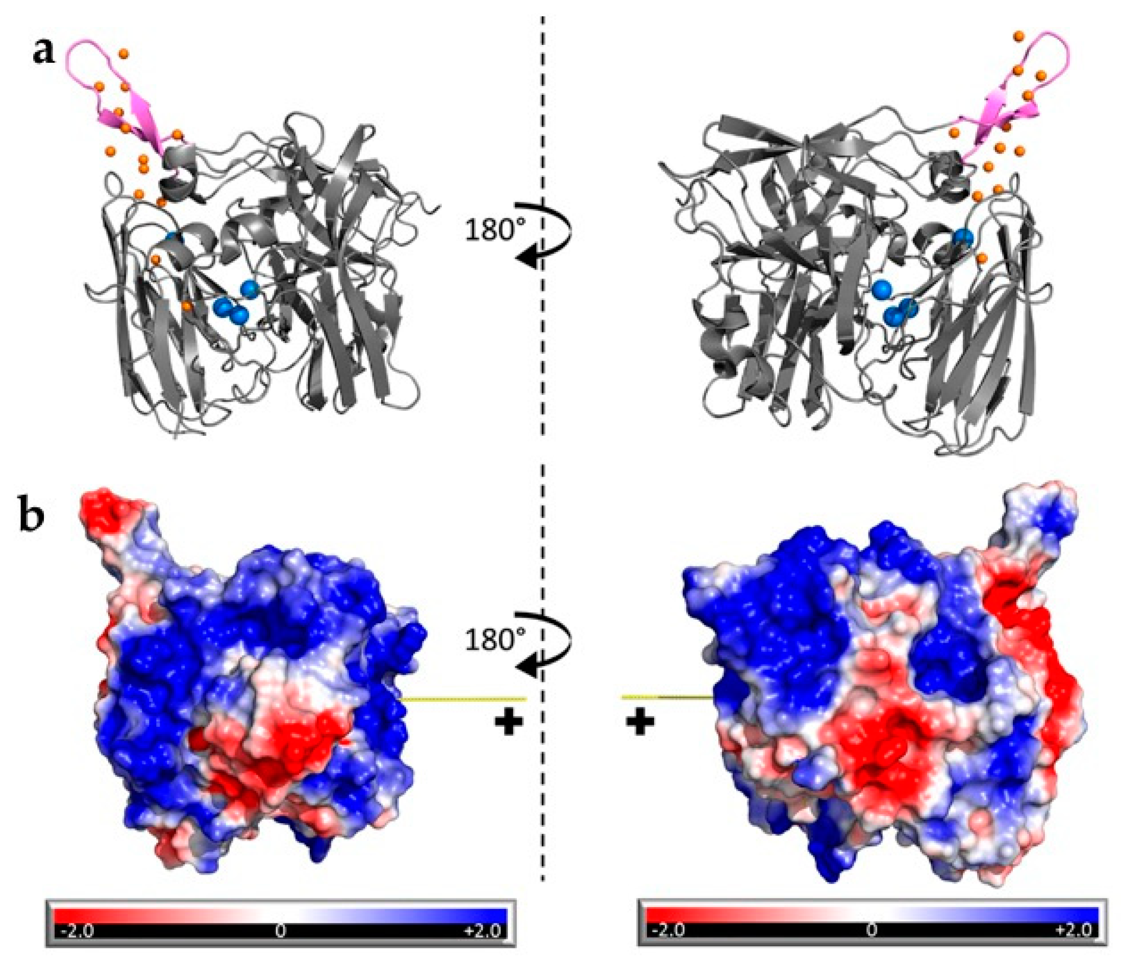 Catalysts 10 01458 g007