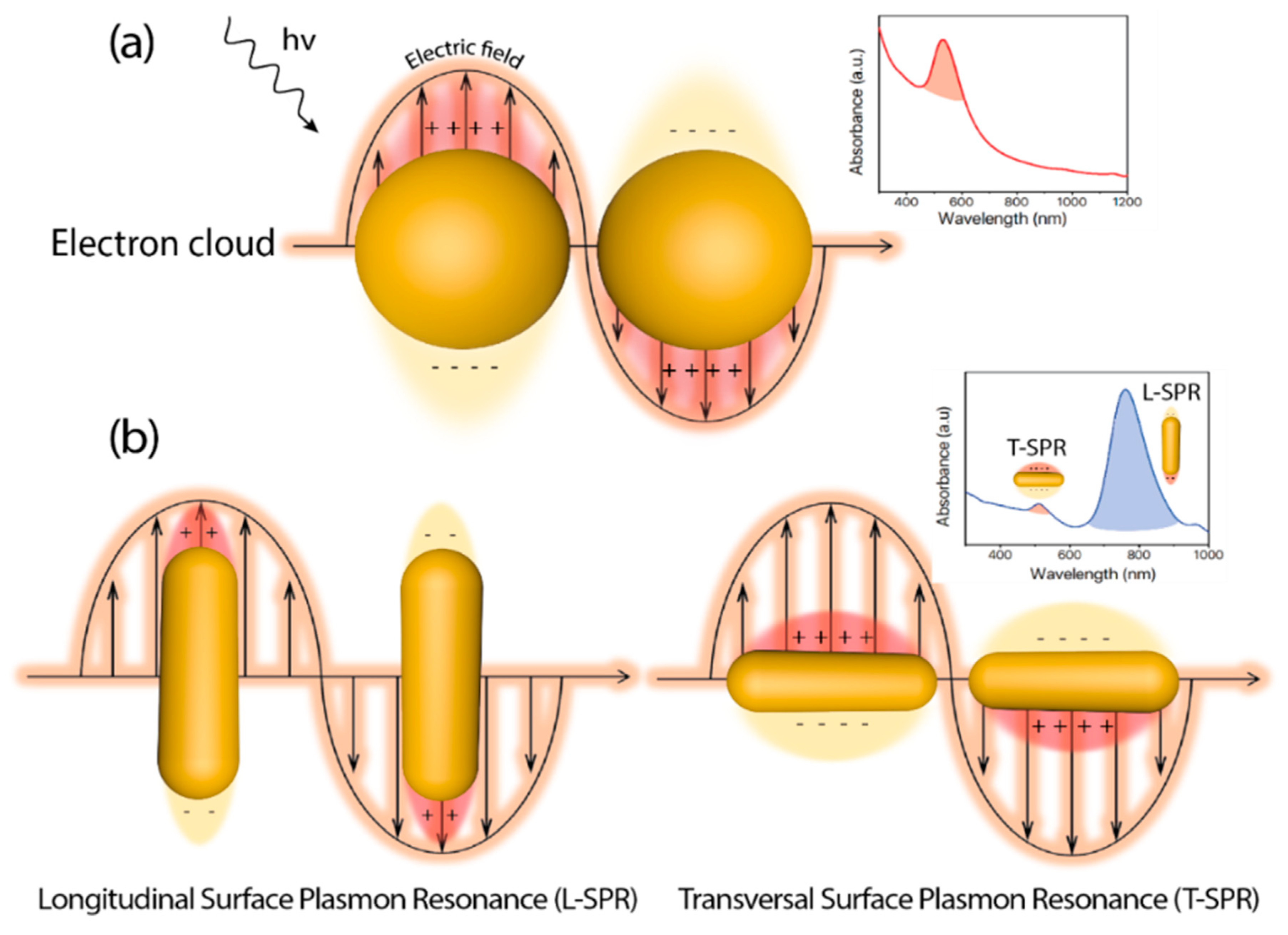 Catalysts 10 01459 g001