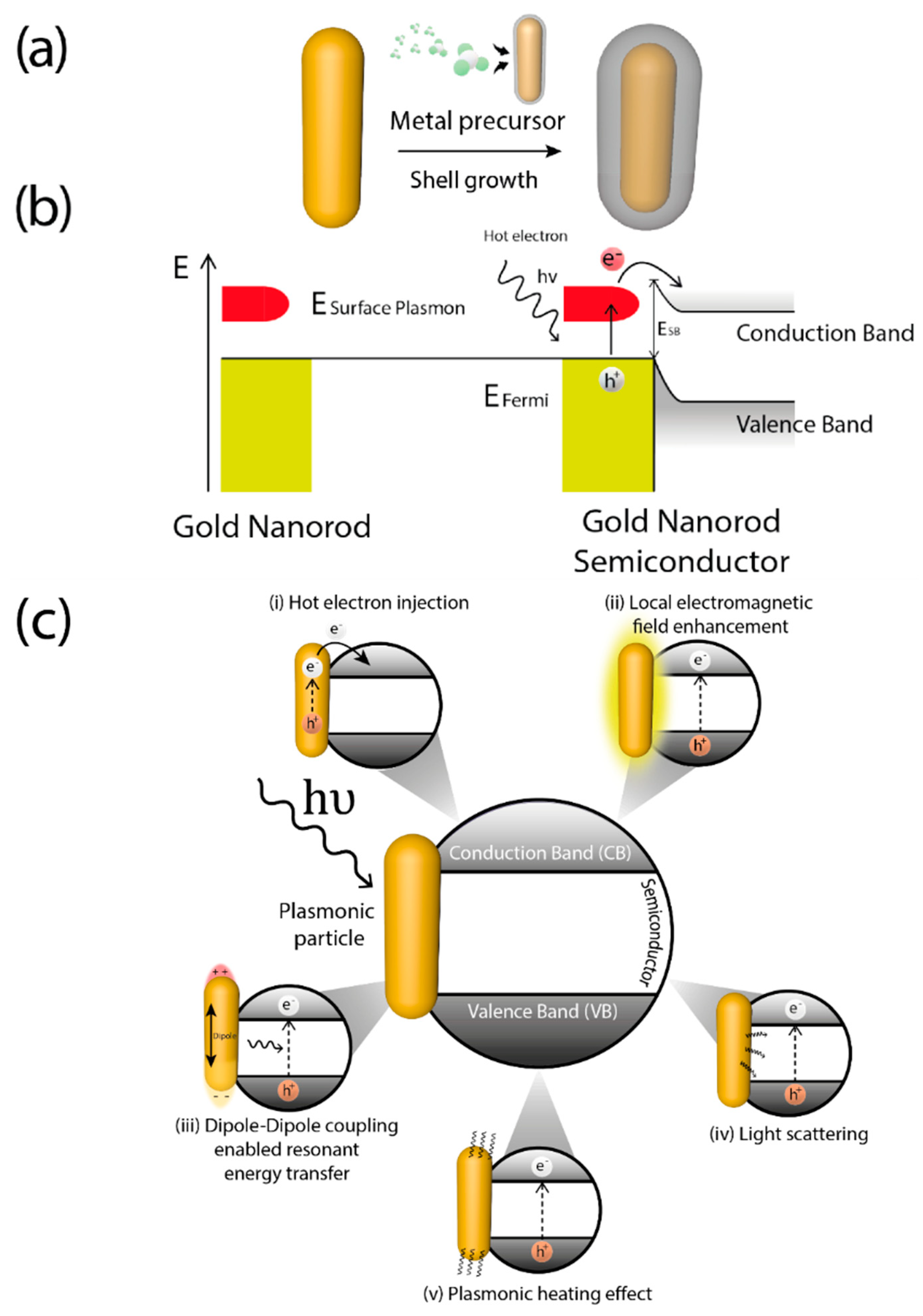 Catalysts 10 01459 g002