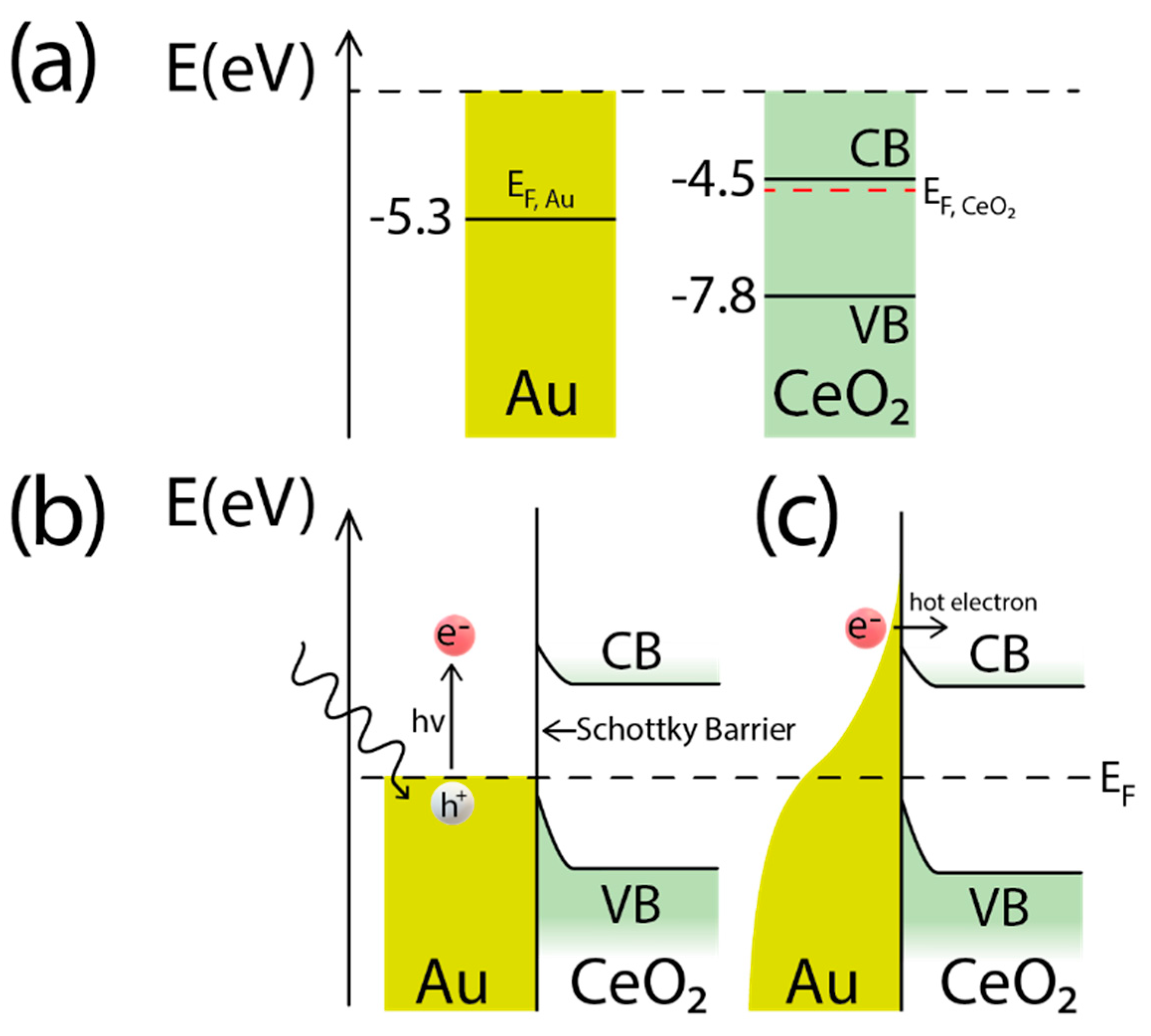 Catalysts 10 01459 g004