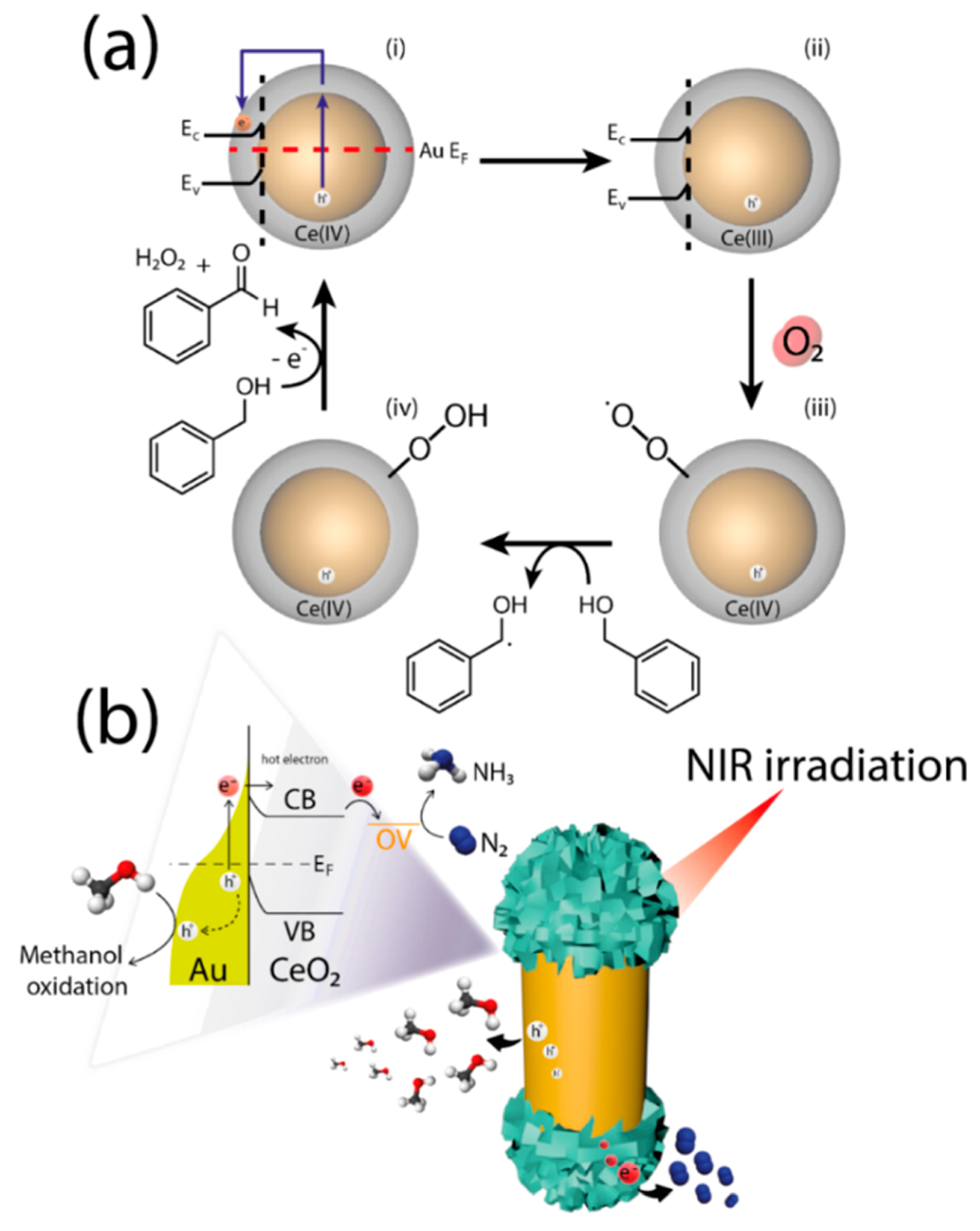 Catalysts 10 01459 g005