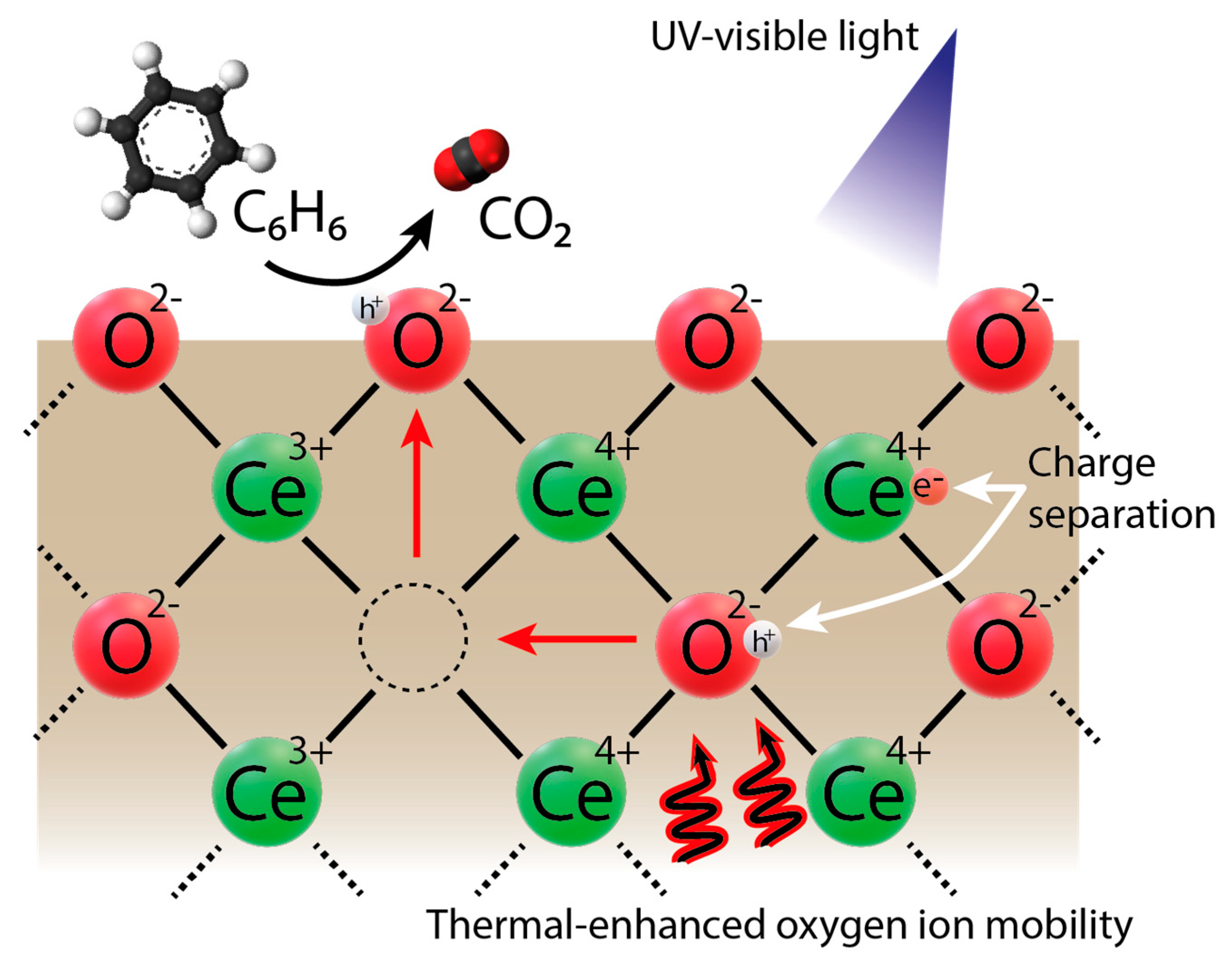 Catalysts 10 01459 g006