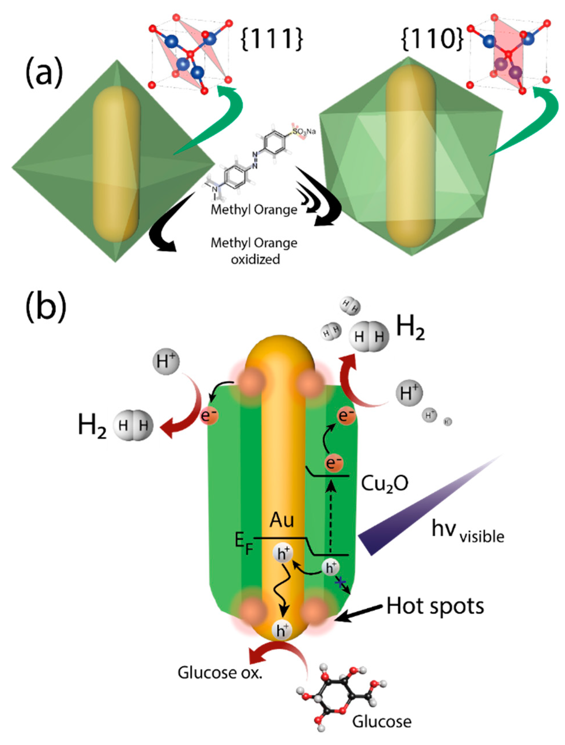 Catalysts 10 01459 g007