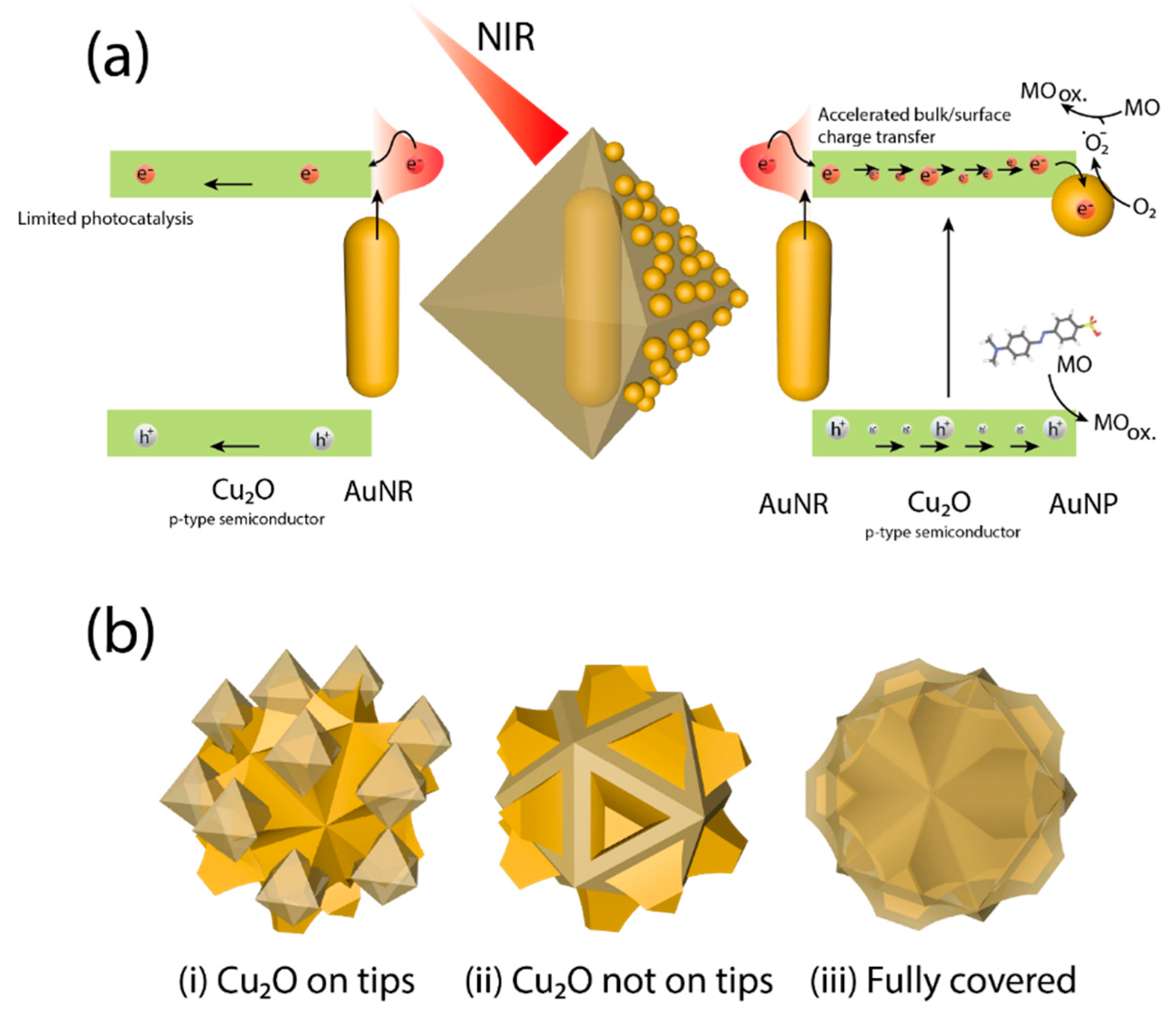 Catalysts 10 01459 g008