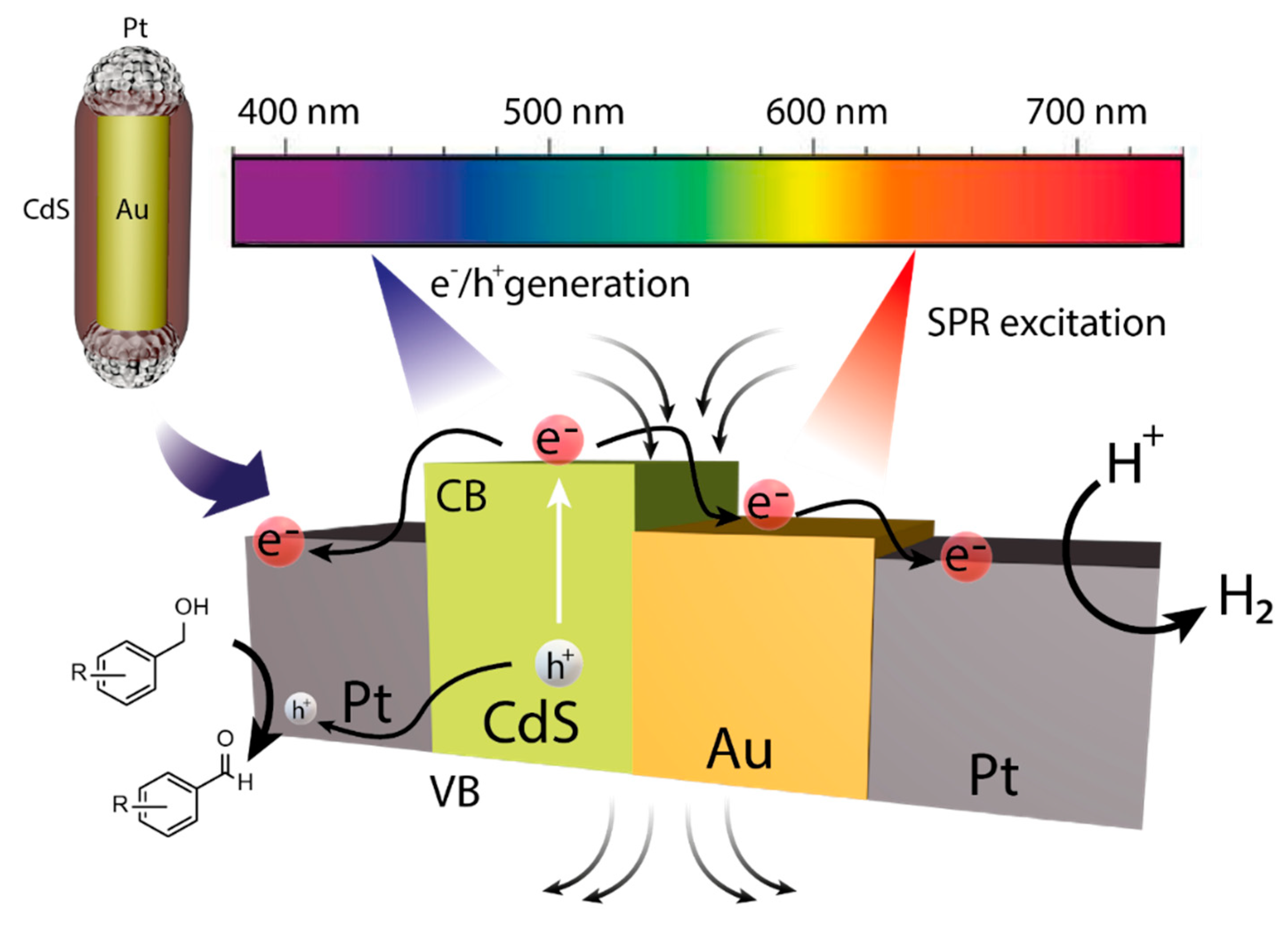 Catalysts 10 01459 g010