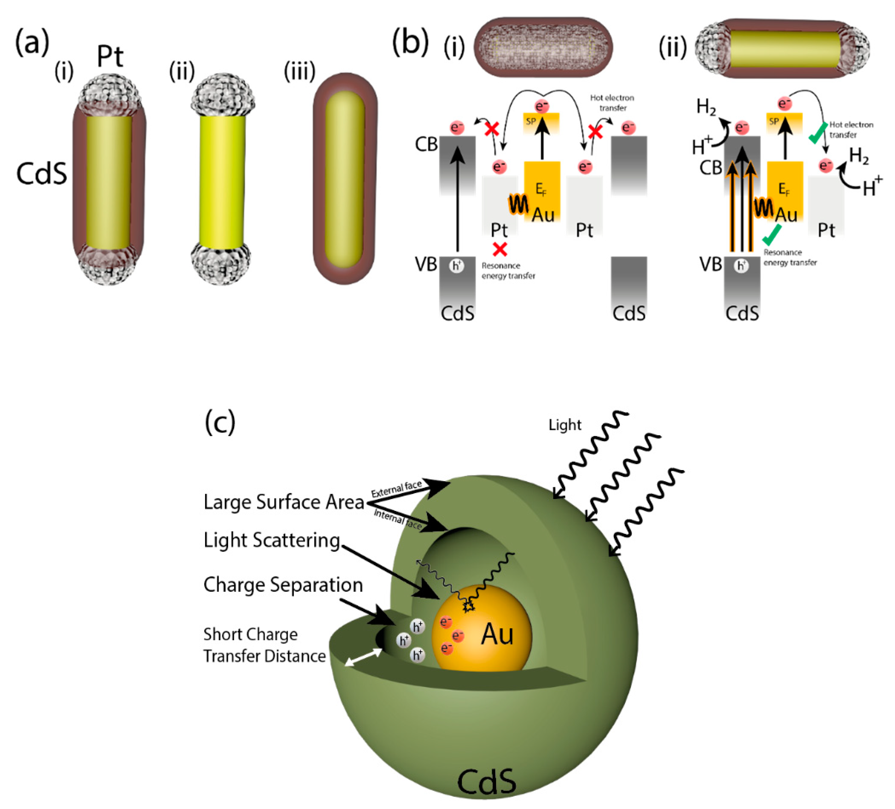Catalysts 10 01459 g011