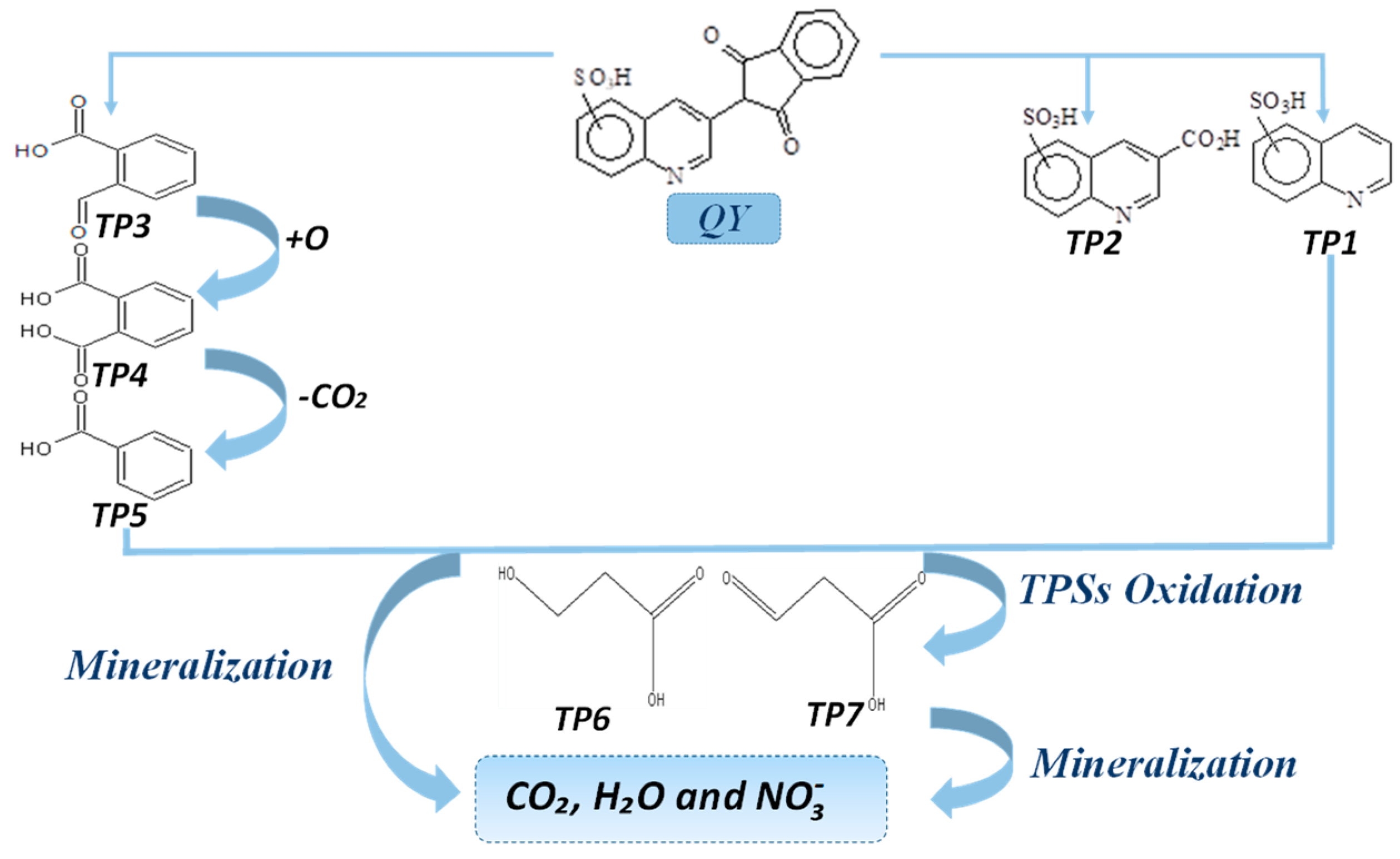 Catalysts 10 01461 g011