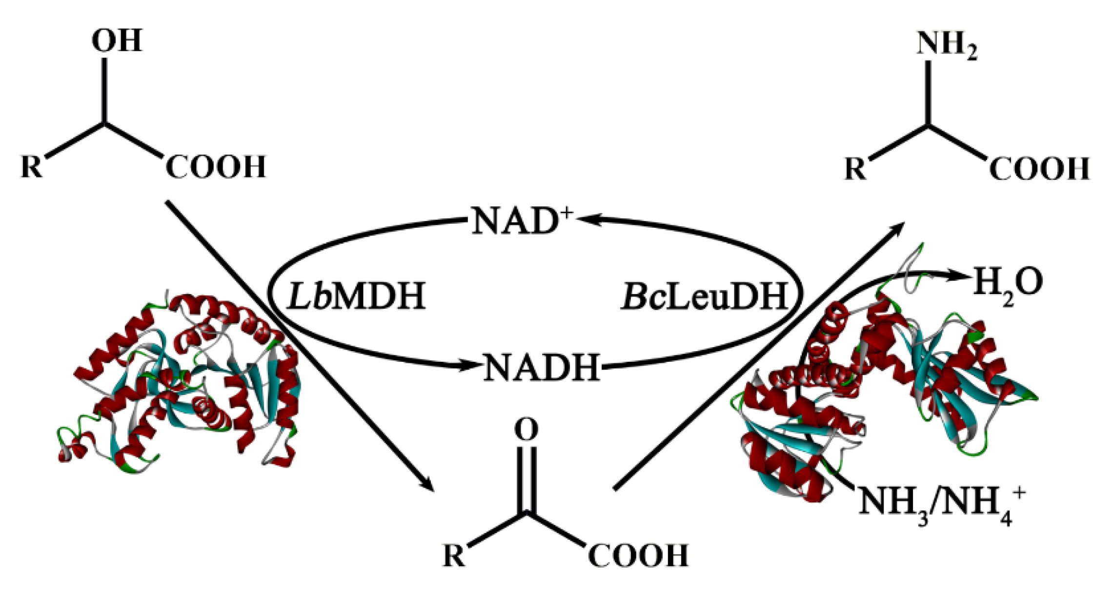 Catalysts 10 01470 g001