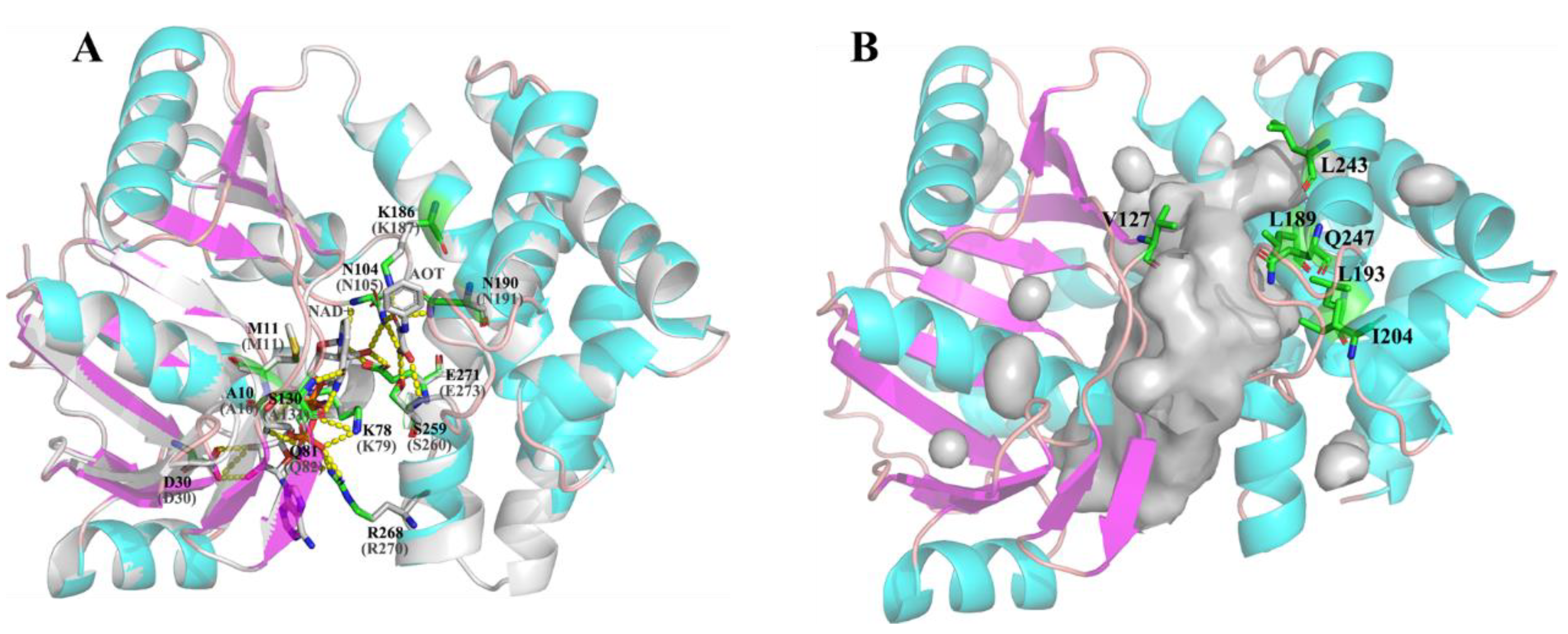 Catalysts 10 01470 g002