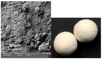 Catalysts 10 01476 i001