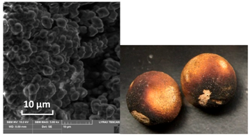 Catalysts 10 01476 i002