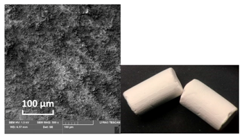 Catalysts 10 01476 i003