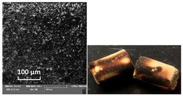Catalysts 10 01476 i004