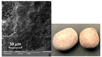 Catalysts 10 01476 i005